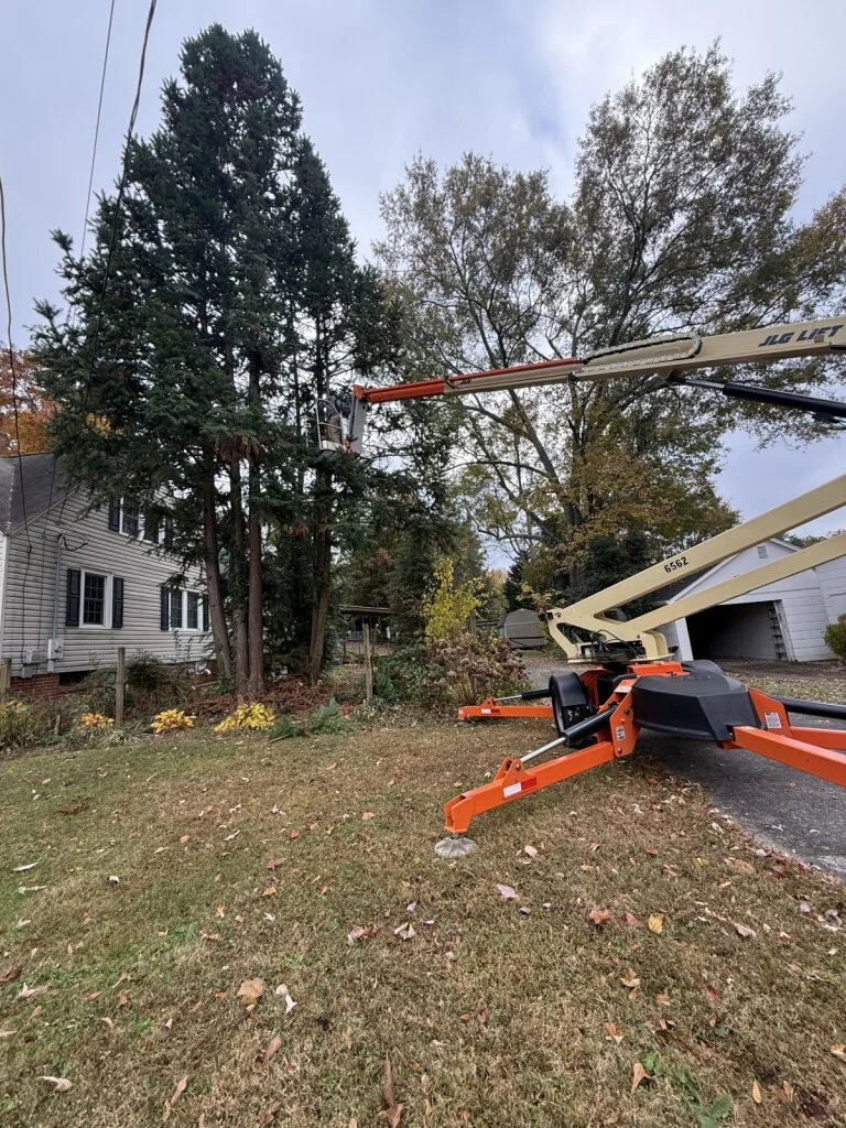 A tree trimming lift elevates a worker to prune a tall evergreen tree in a residential yard, with a house, trees, and a cloudy sky in the background.