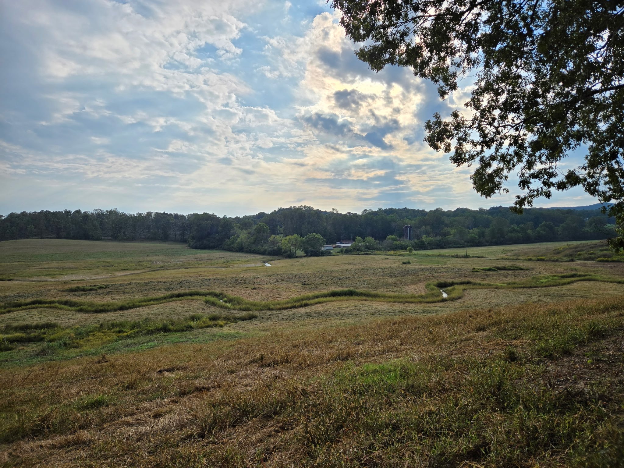Open field with small winding streams, surrounded by trees on a cloudy day with blue sky and clouds overhead.