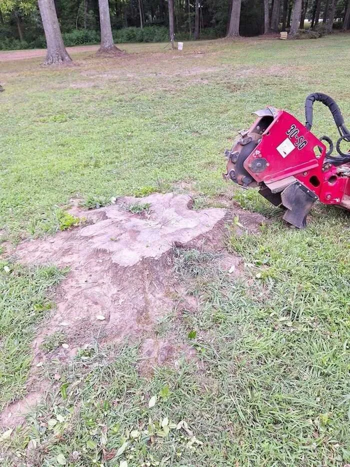 A section of freshly dug ground with a red stump grinder resting on the grass nearby, in an outdoor park or forested area.