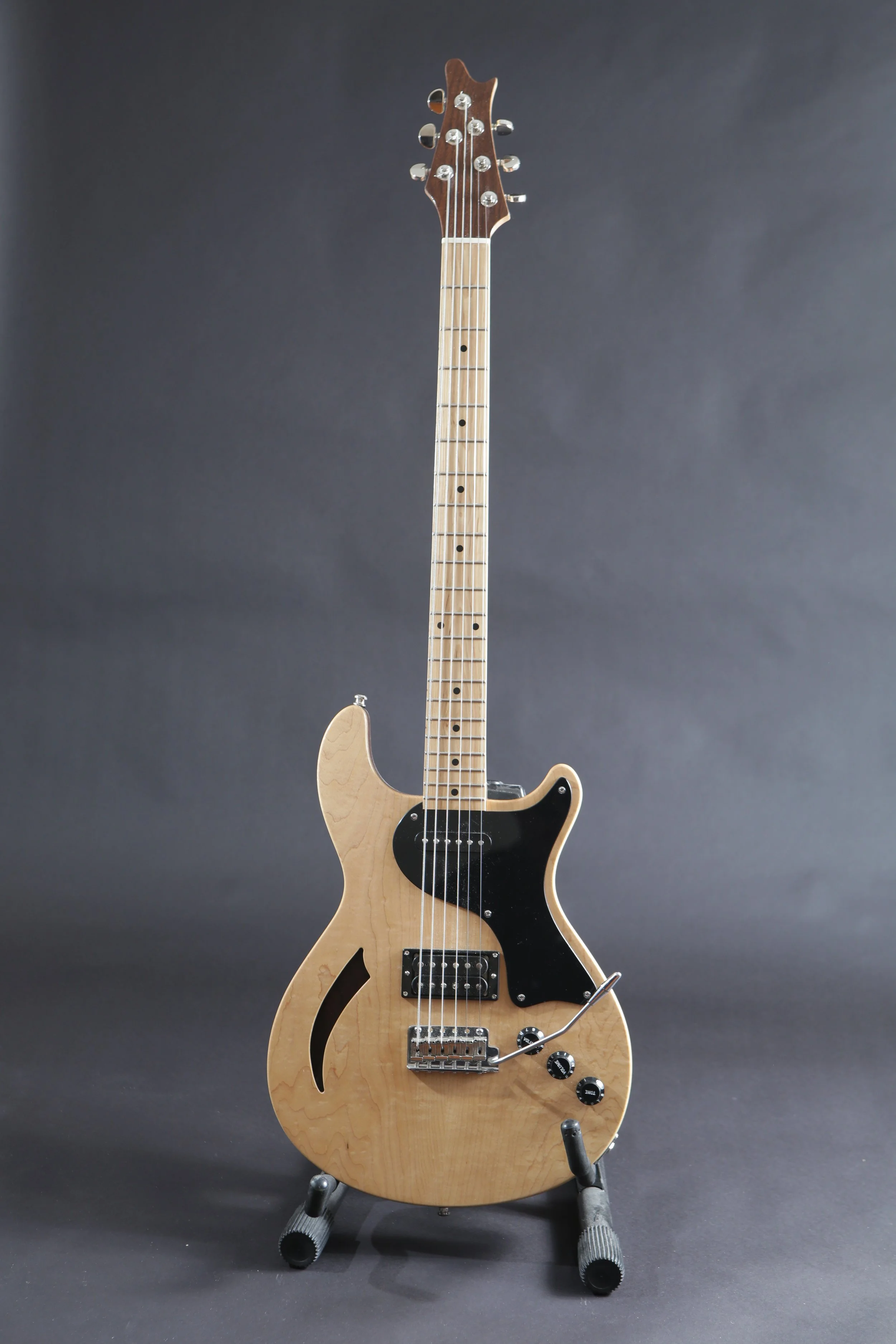 SMG semi hollow 6 string bass