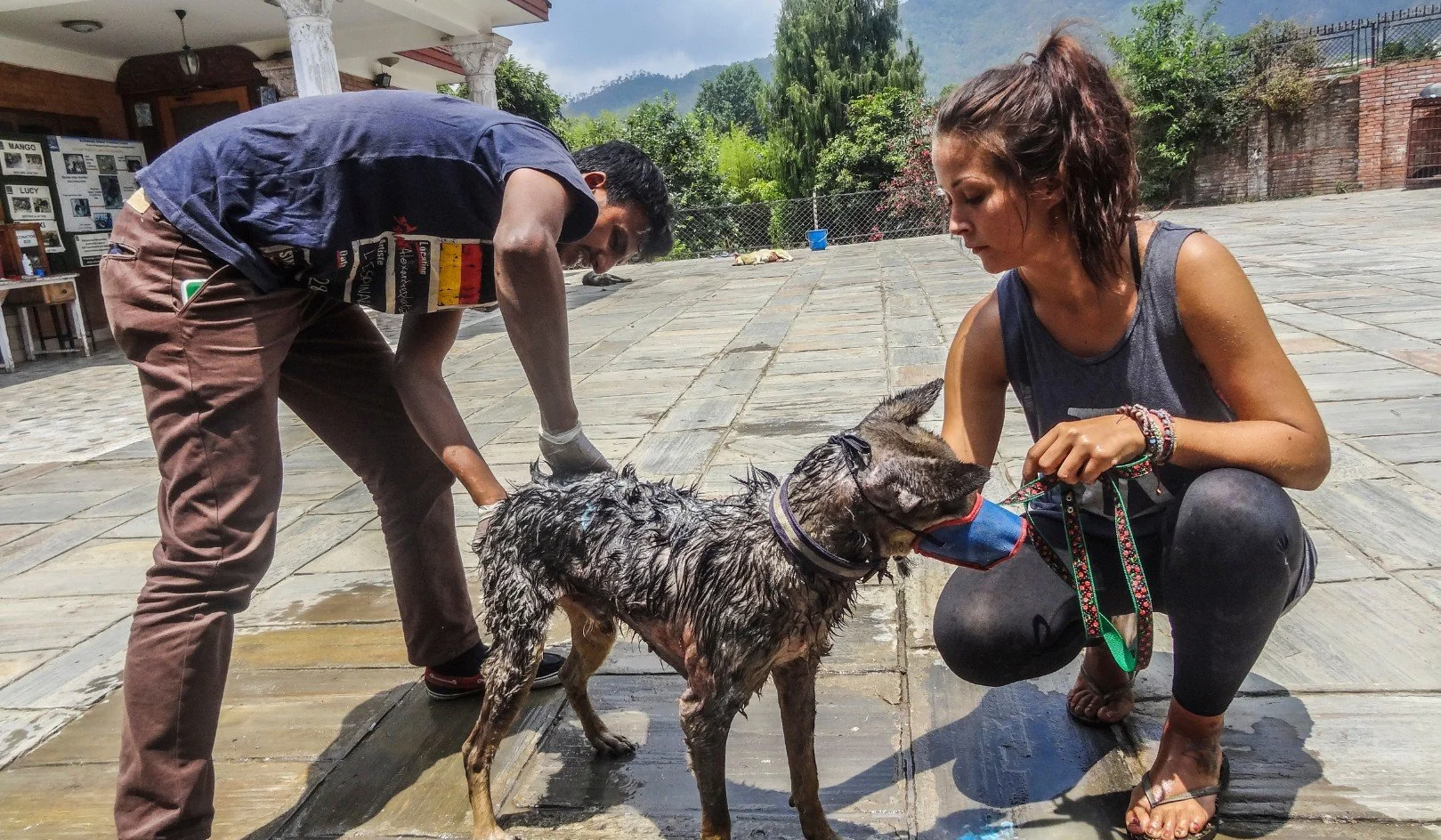 Studenti v terénu při práci na projektu udržitelnosti a ochrany přírody.
