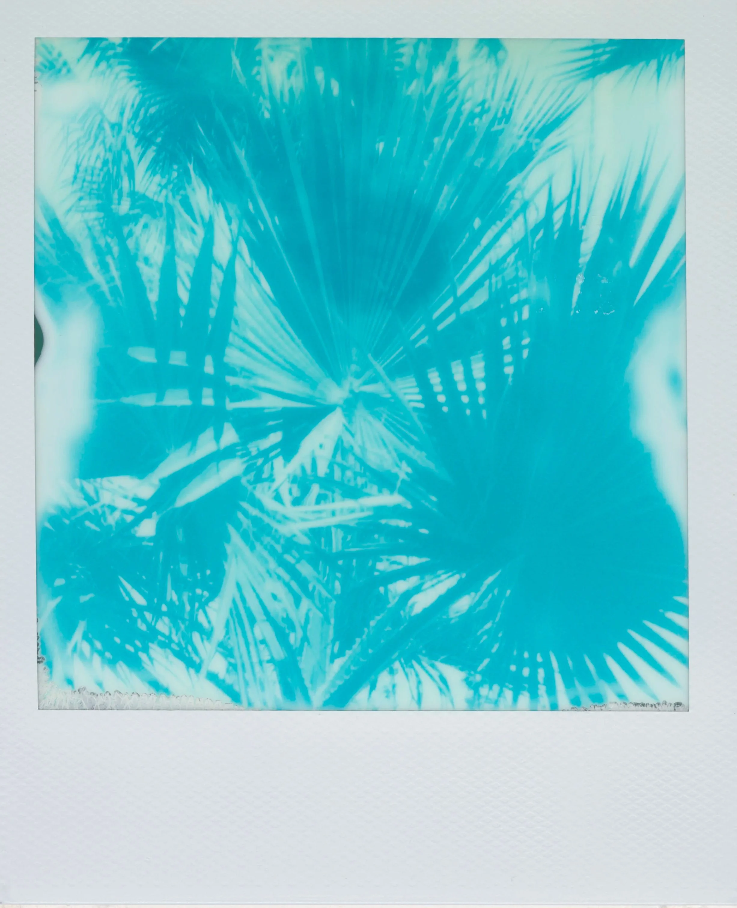 LOST IN BLUE
