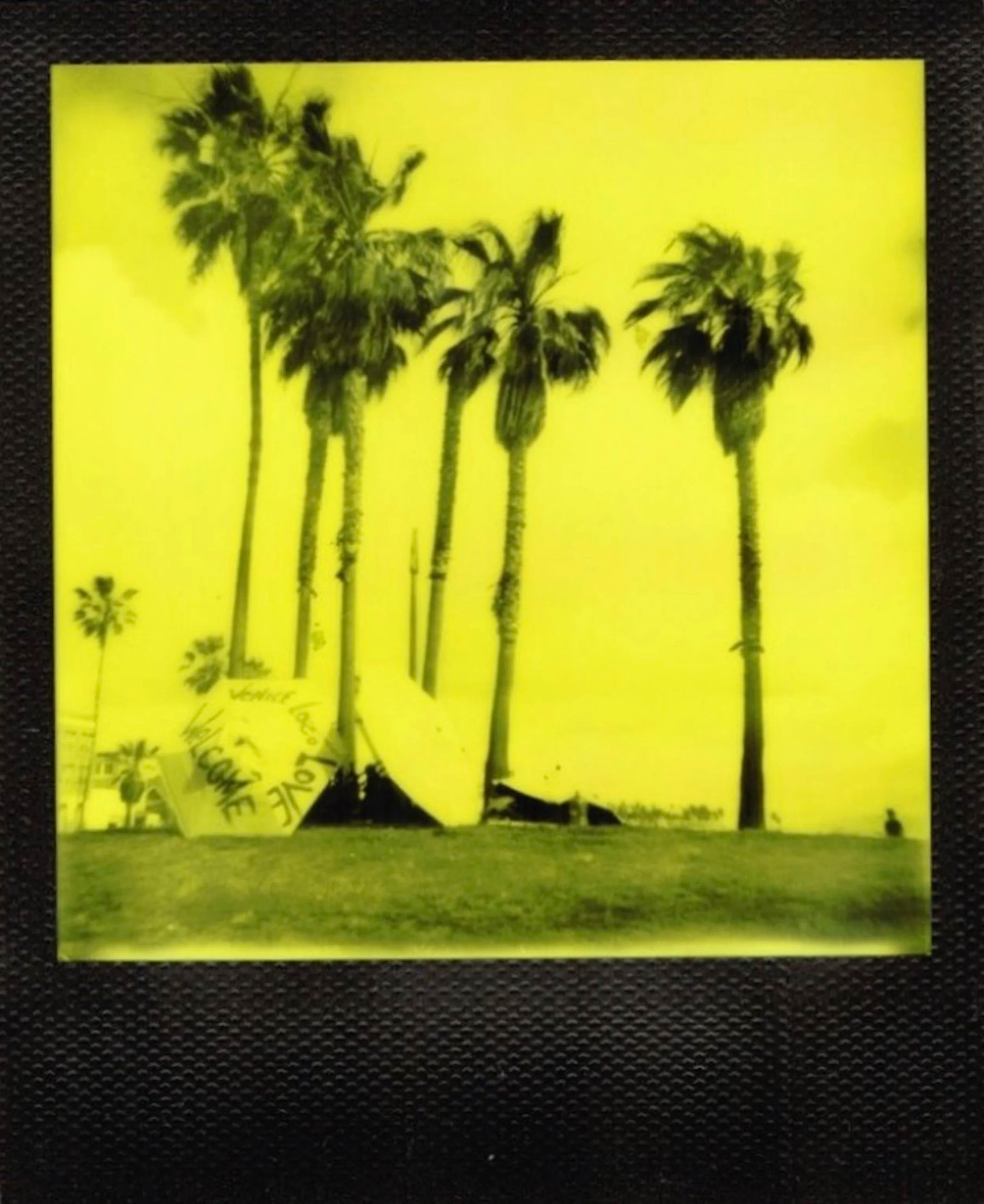 ACID SUMMER*