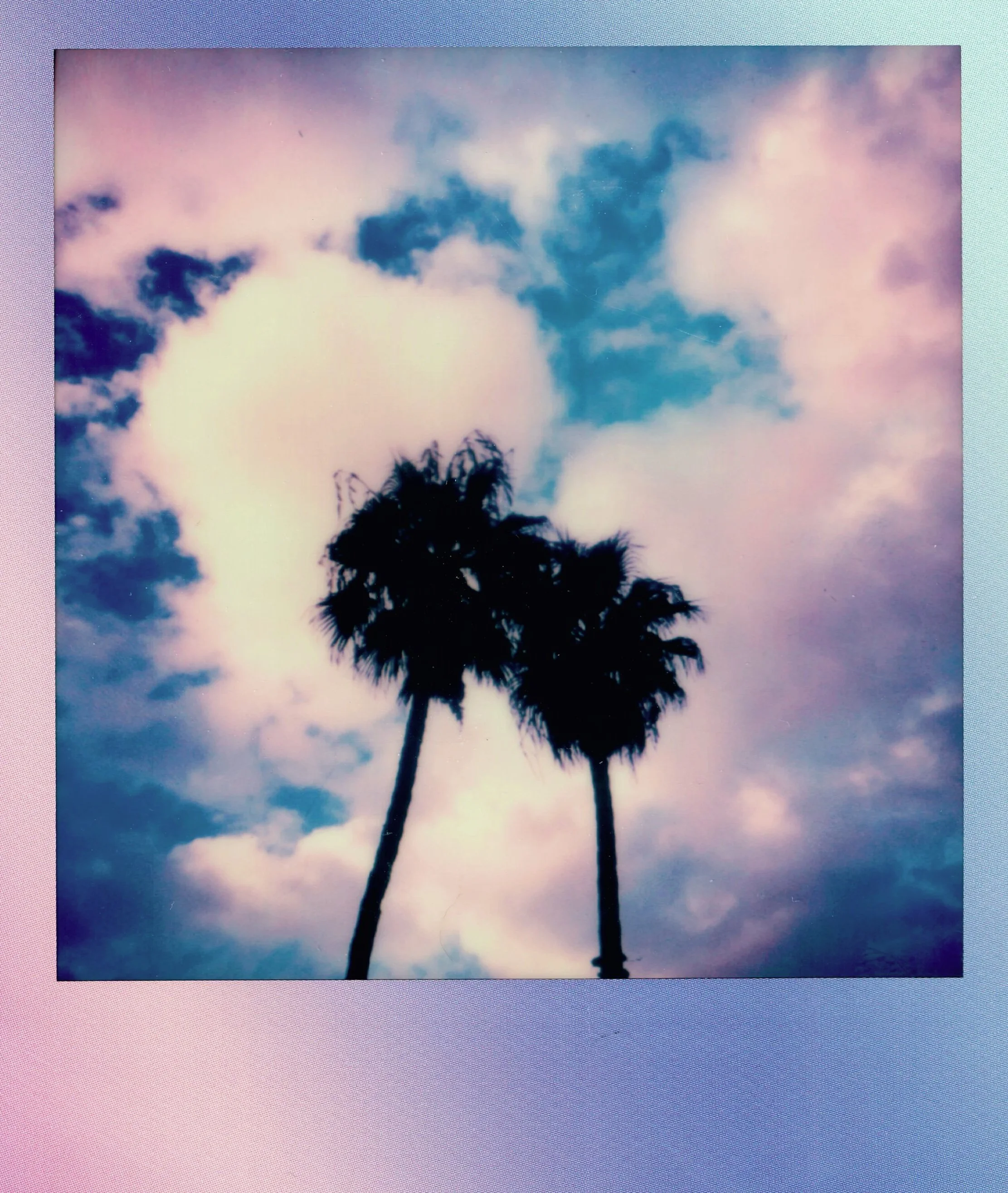 TROPICAL STATIC