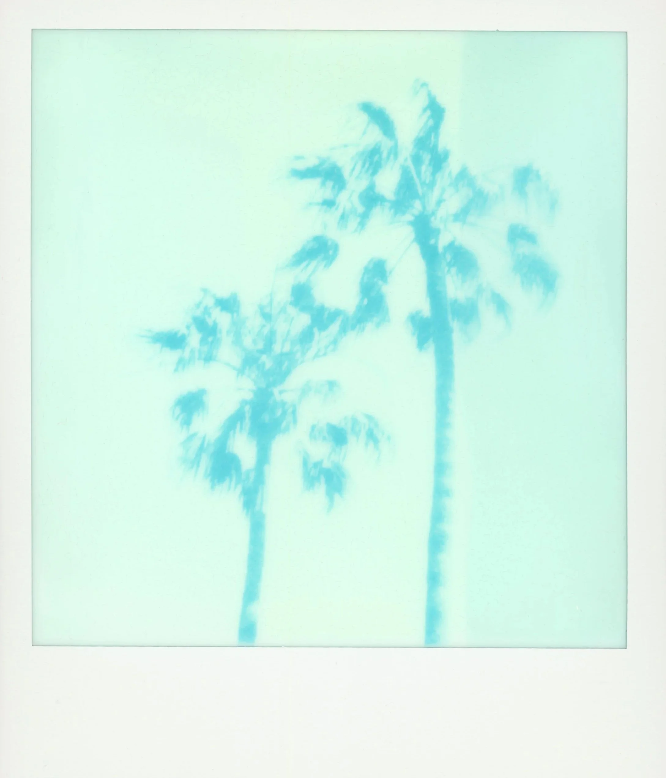 WASHED AWAY*