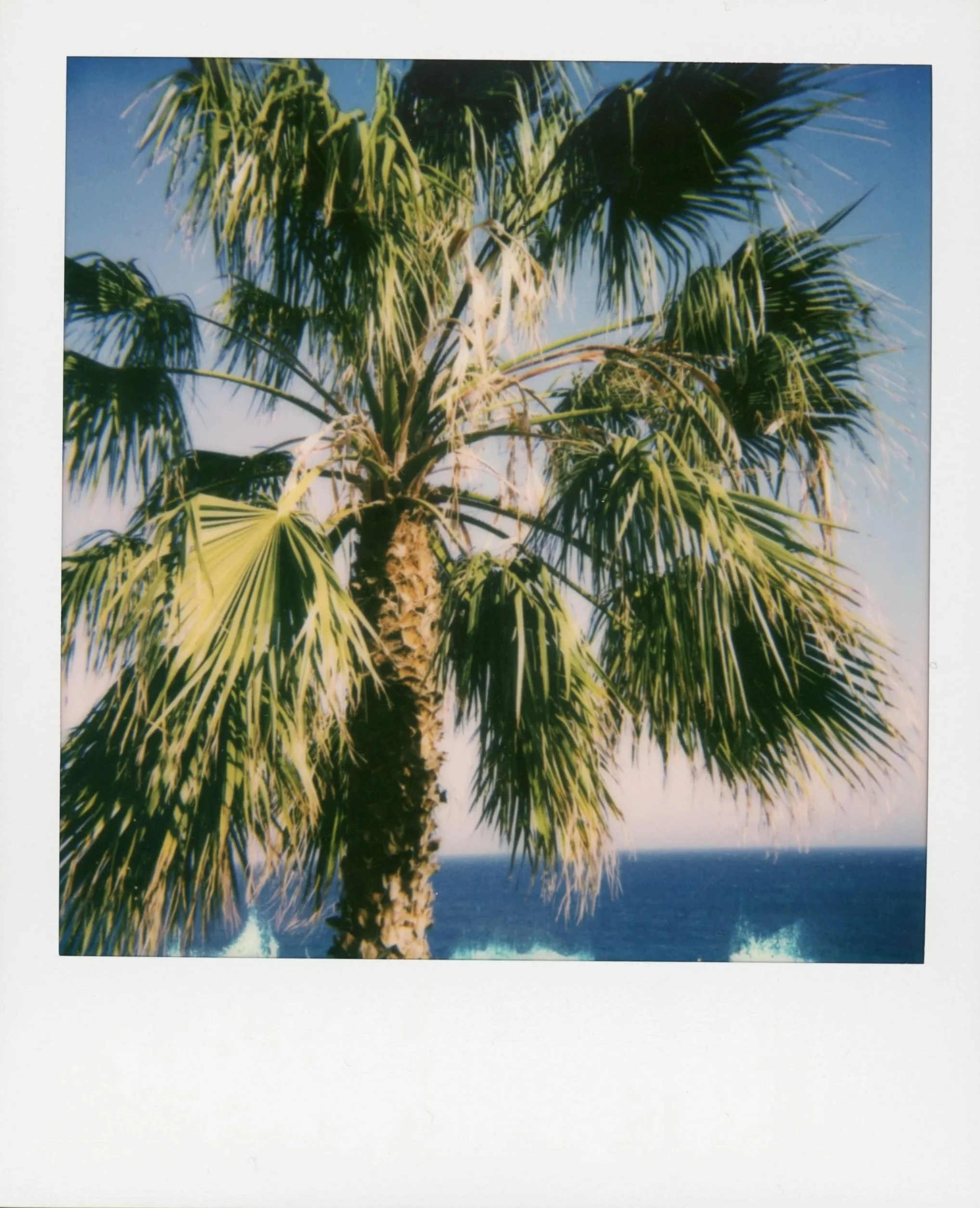 RETURN TO PARADISE*