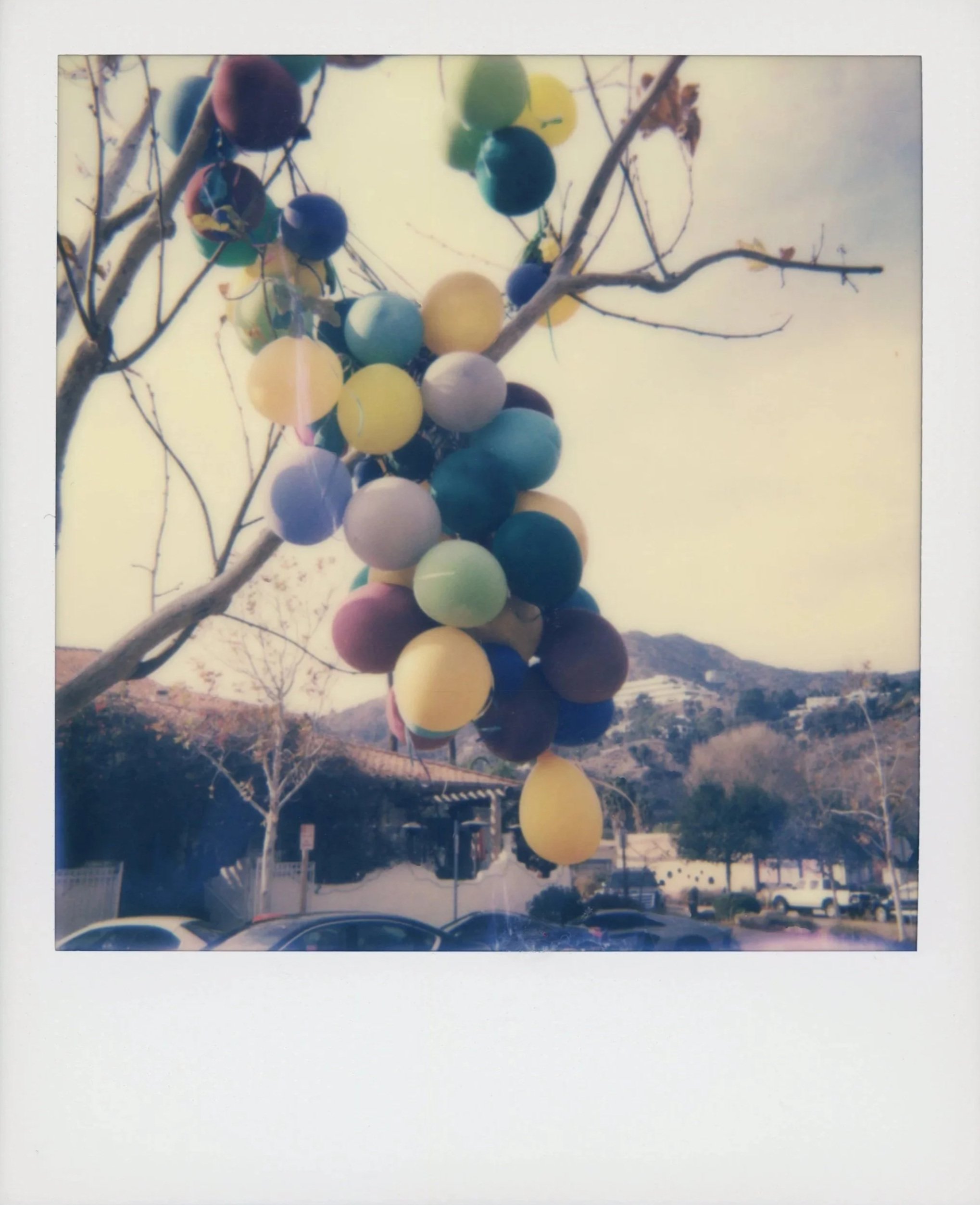 WHAT GOES UP*