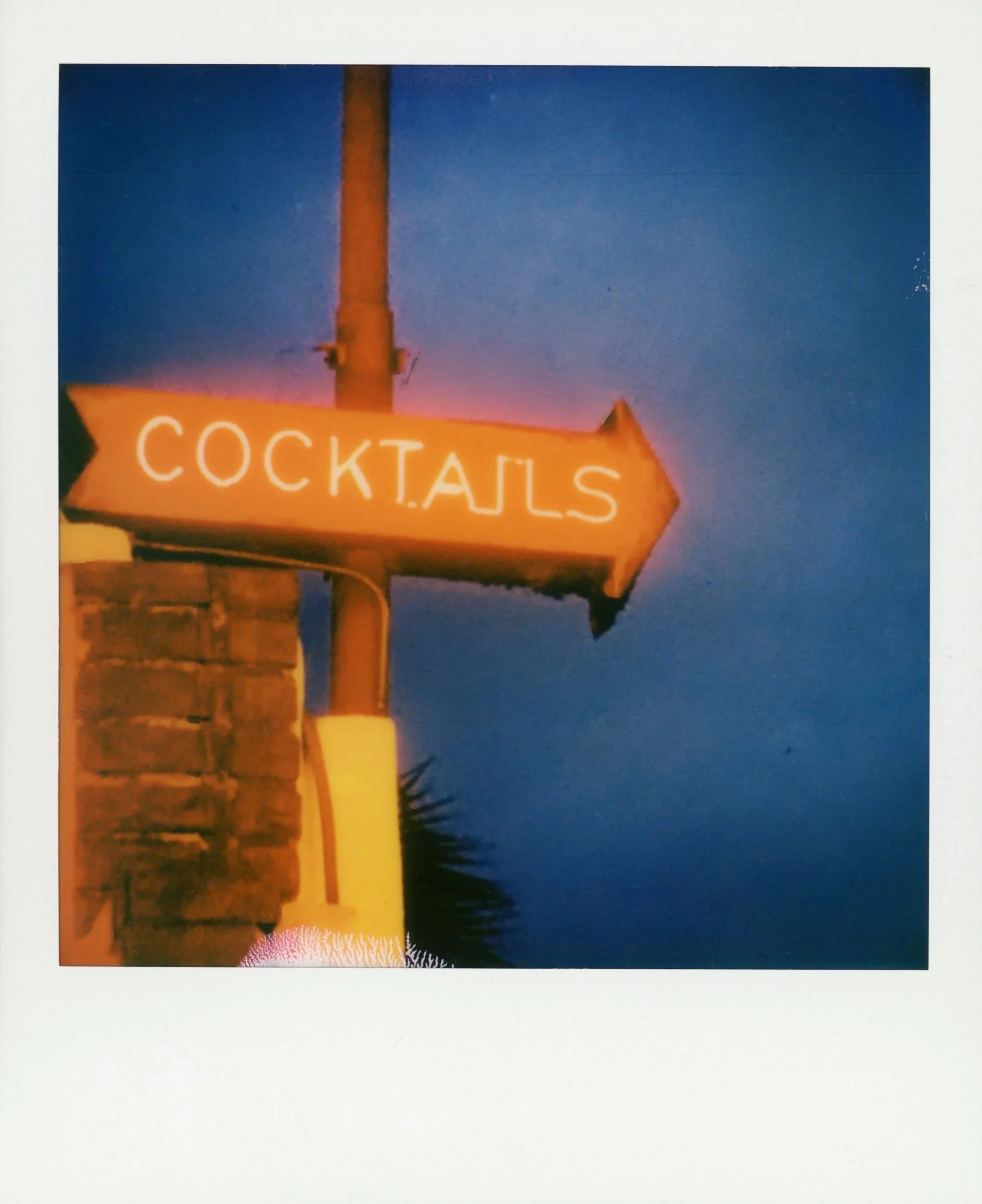 WHERE THE NIGHT GOES