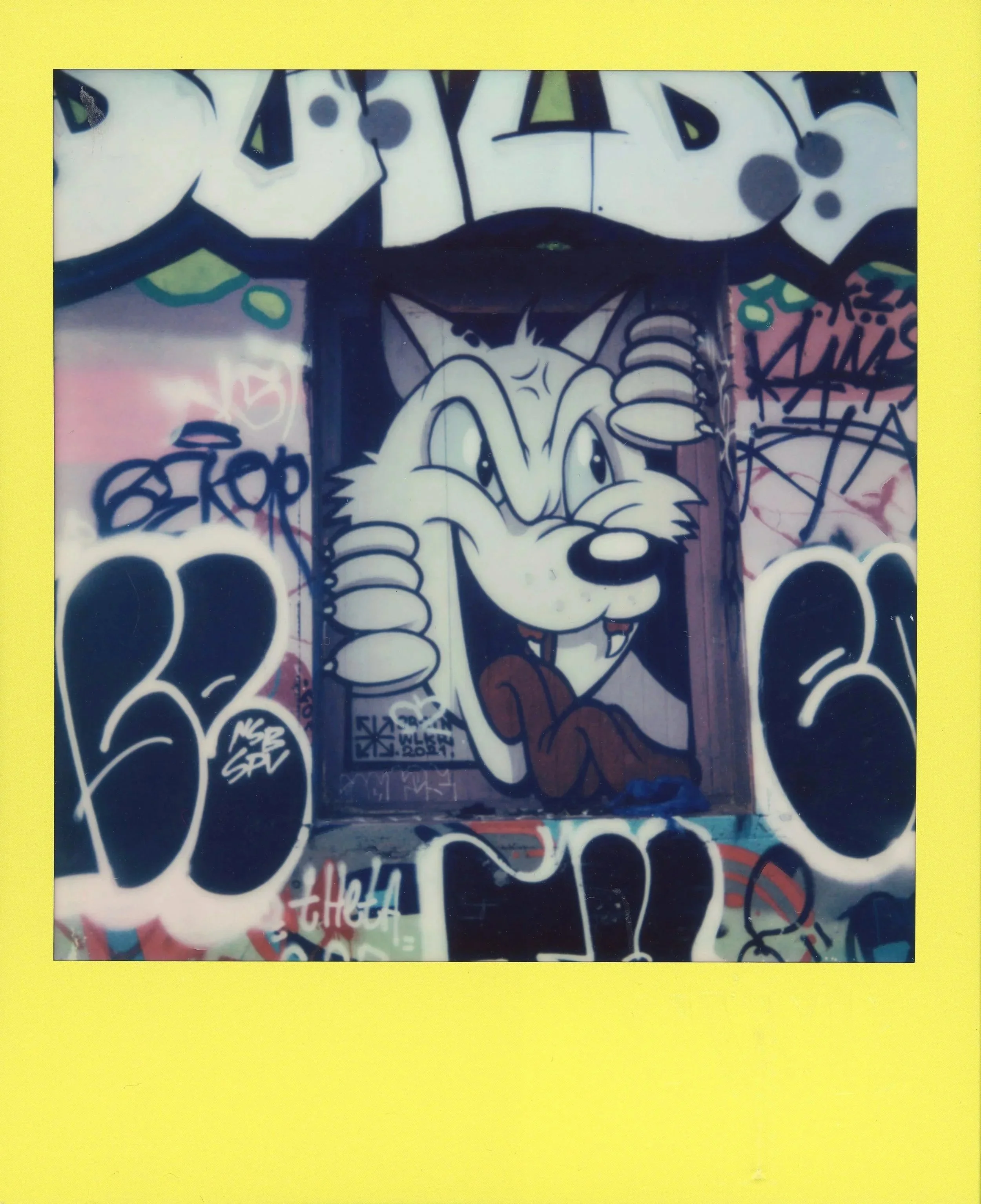 JUVENILE DELINQUENT*