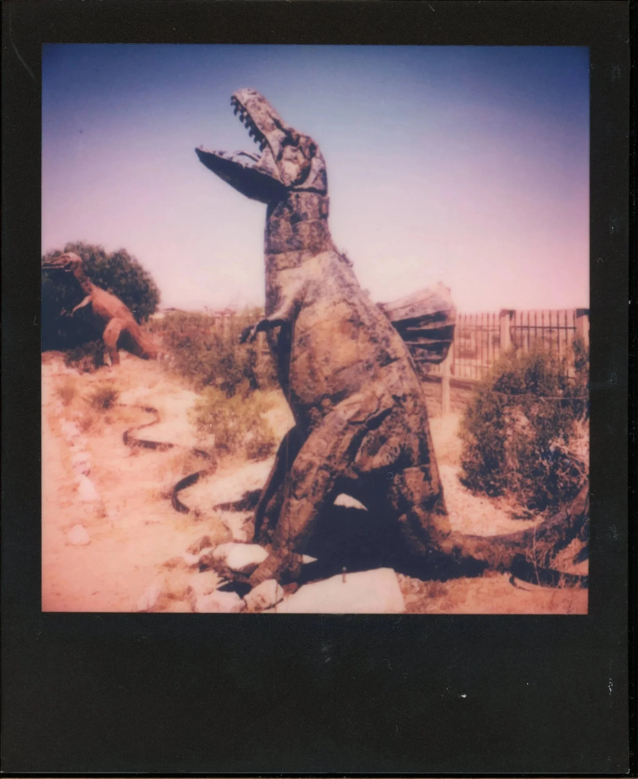 SUMMER BEFORE EXTINCTION*