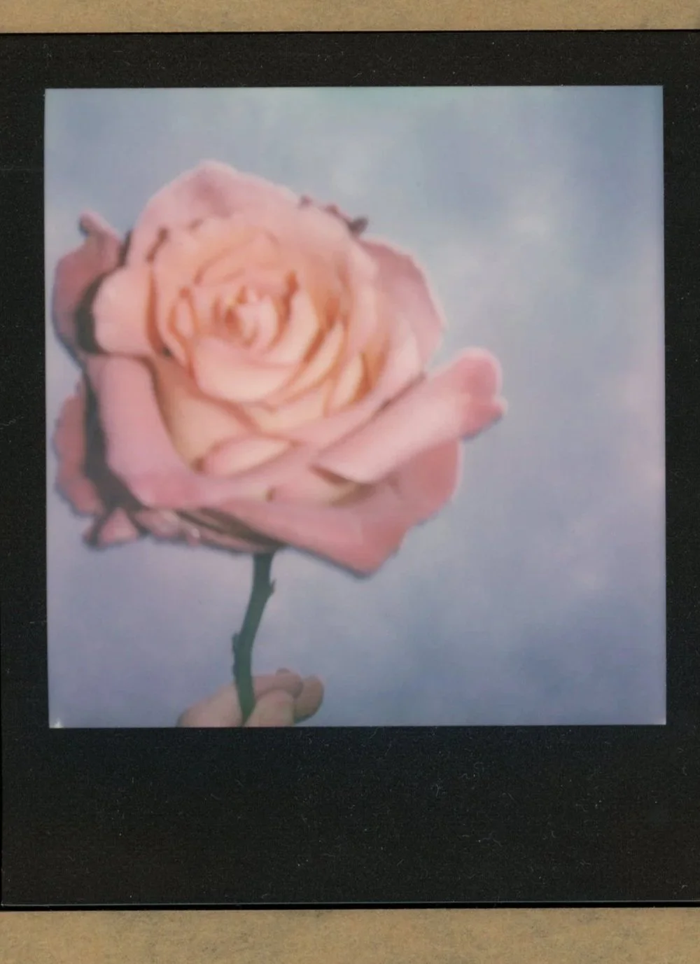 img001.jpg