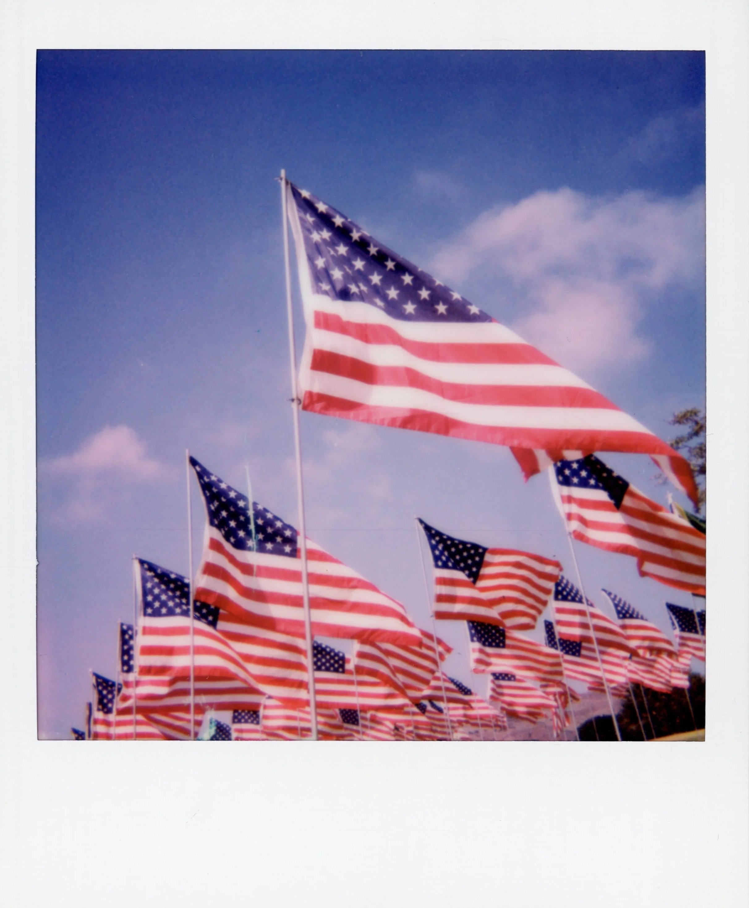 STARS AND STRIPES*