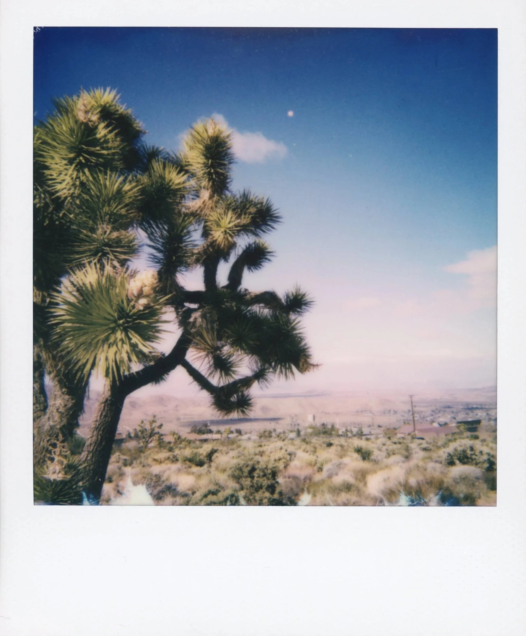 FAR OUT*