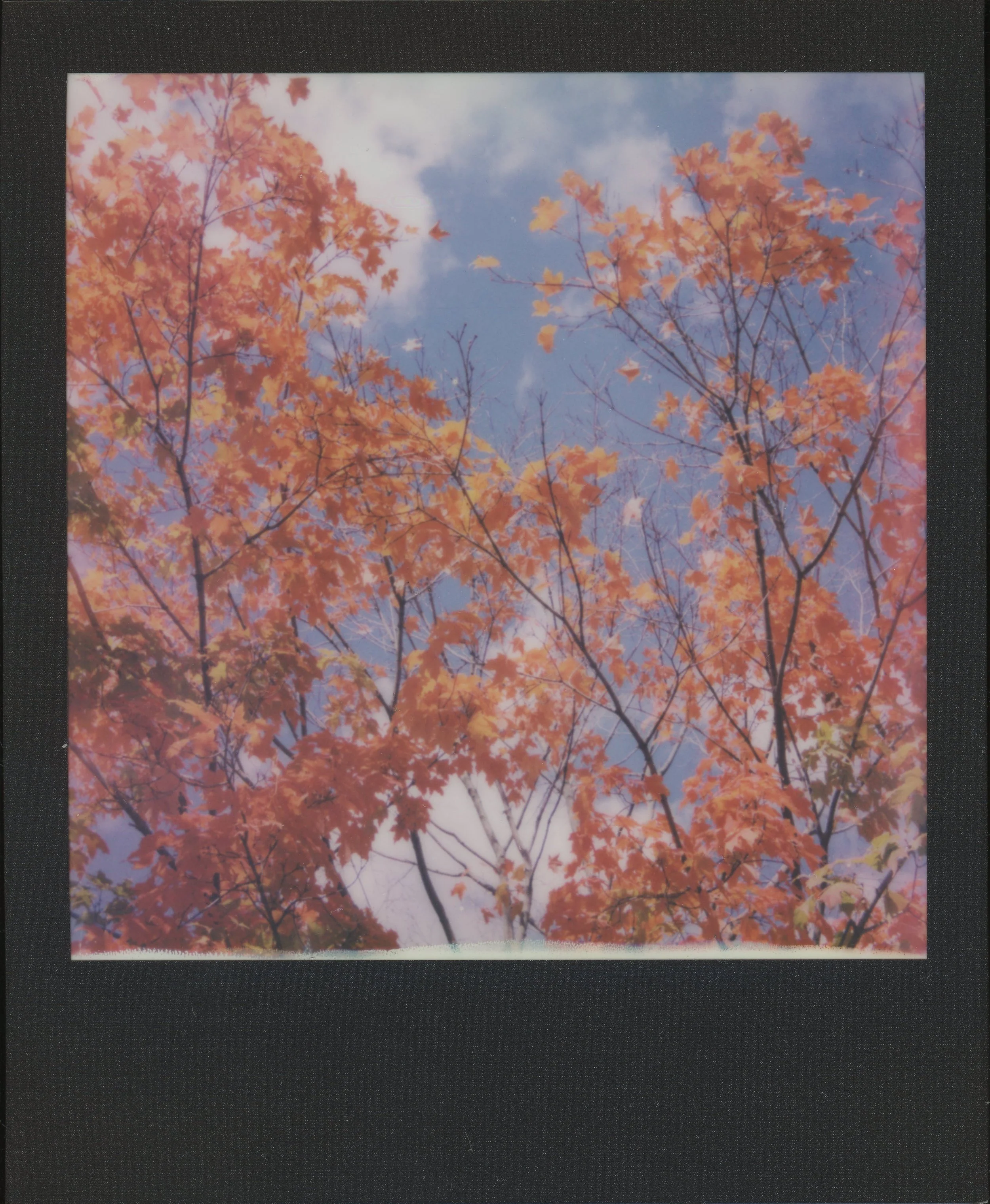 THE COLOR OF GOODBYE*