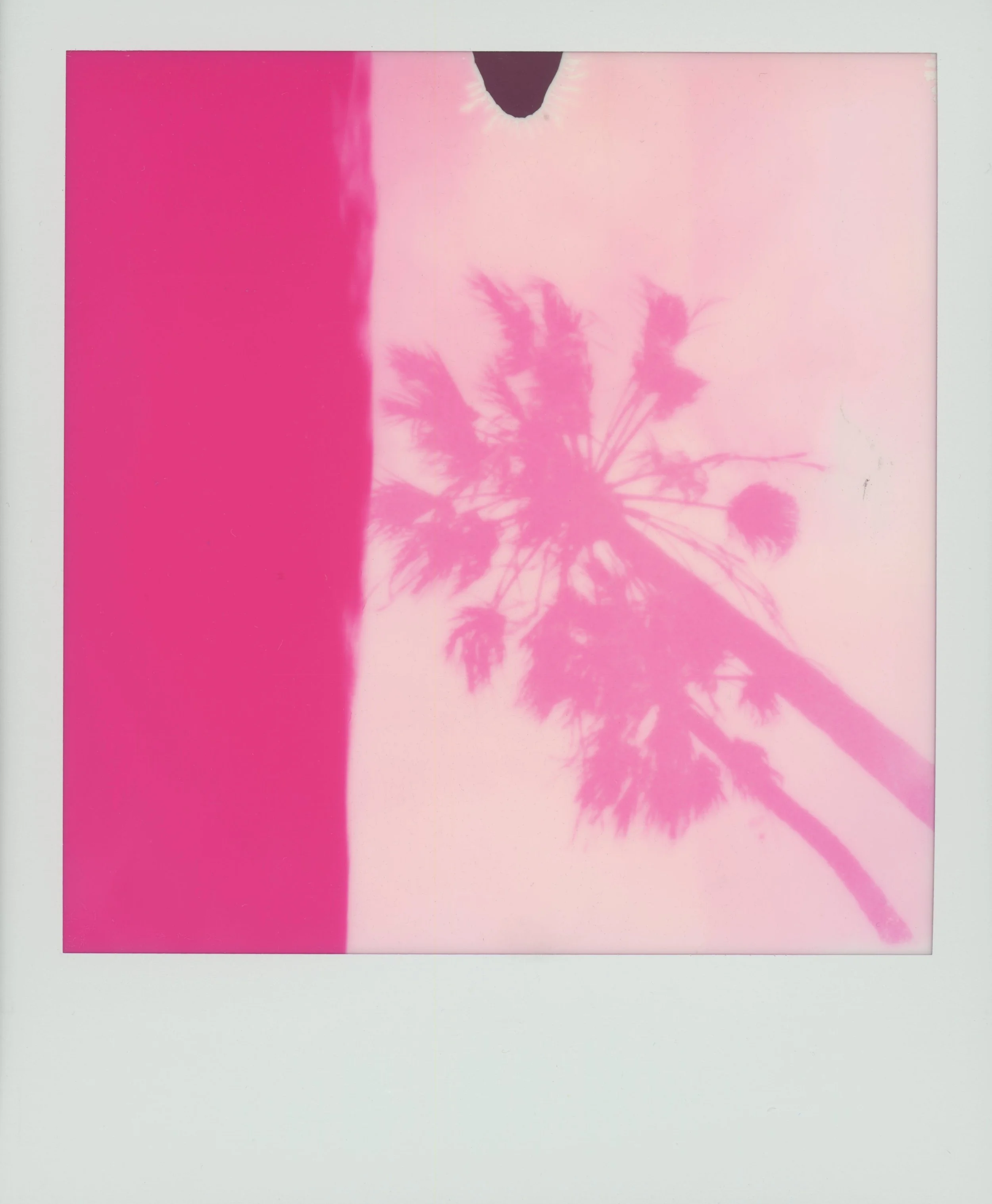 CALIFORNIA WAS PINK*