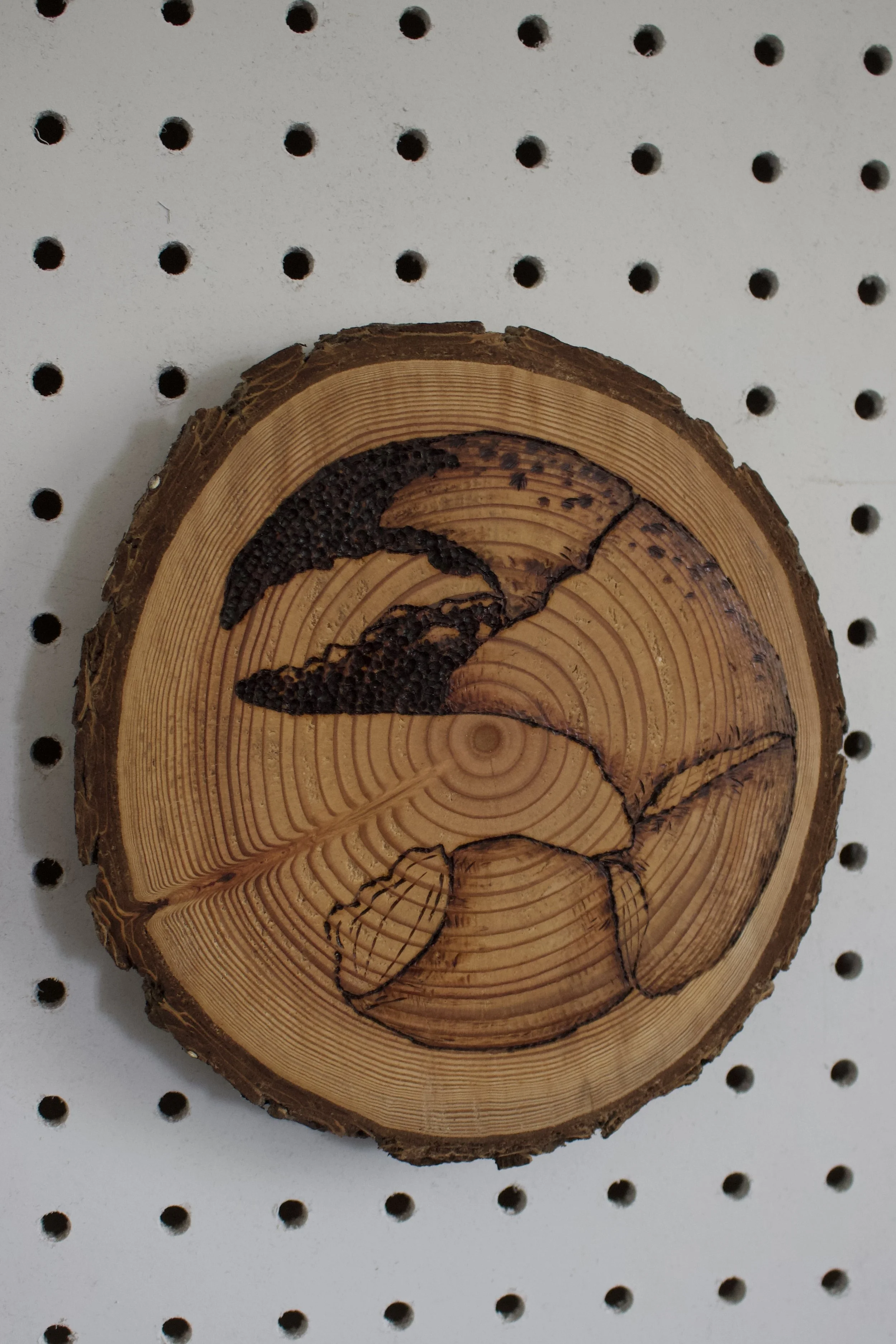 Crab Claw Wood Round