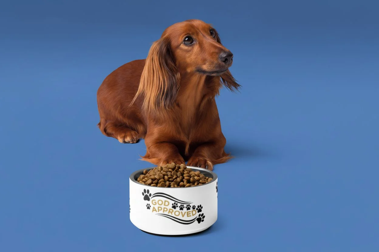 Dachshund Dog Bowl.jpg