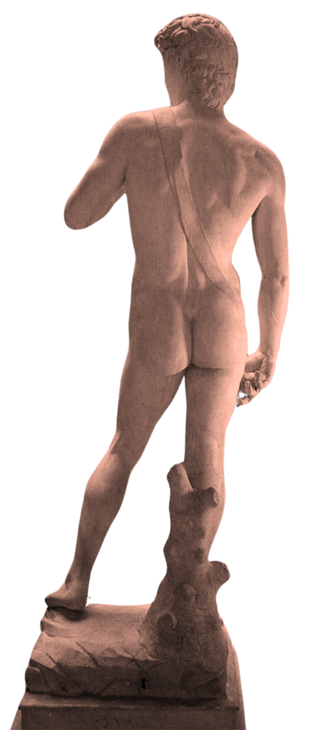 Back view of a classical marble statue of a nude male figure standing on a pedestal.