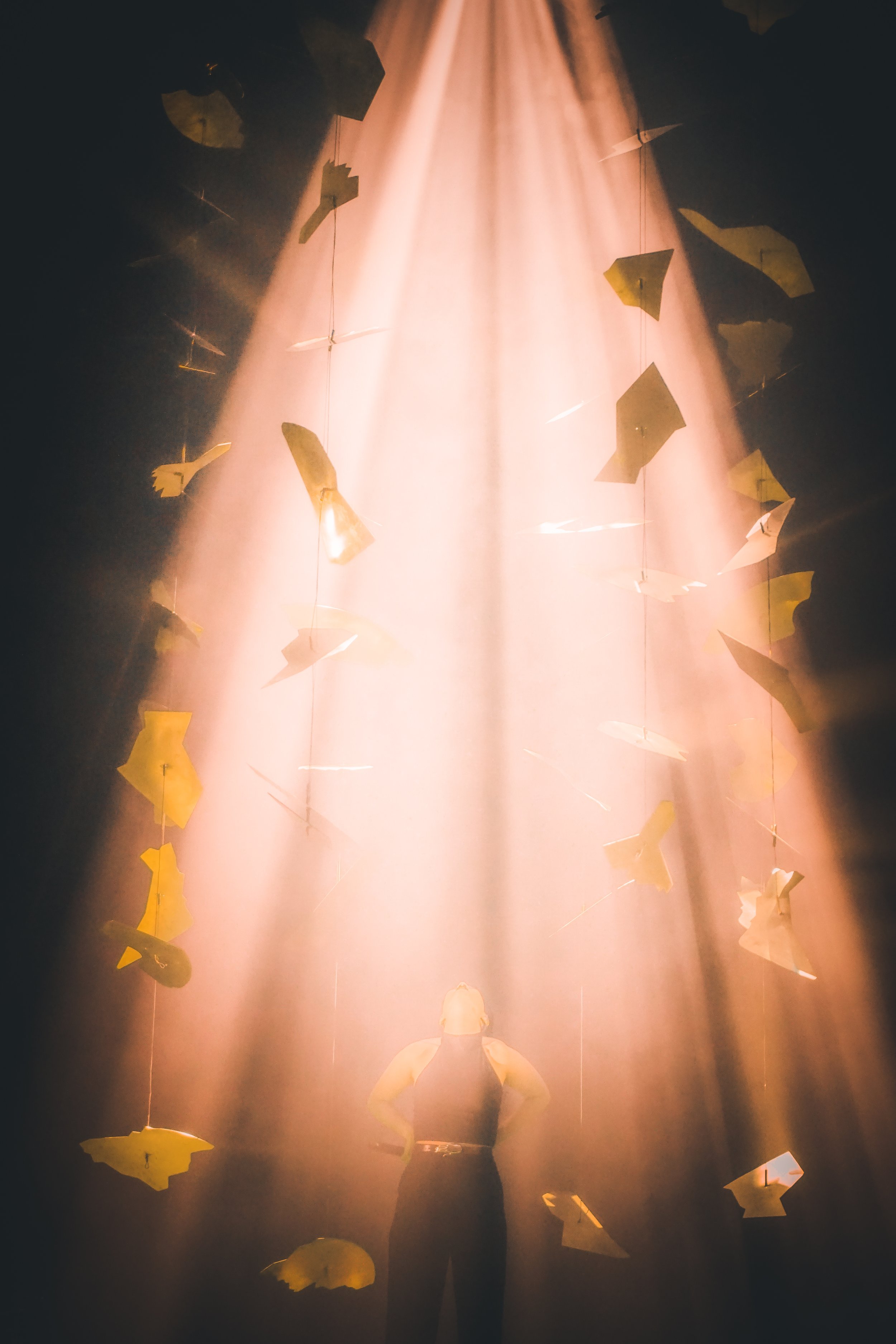 20150302-DSC07562 (1).jpg