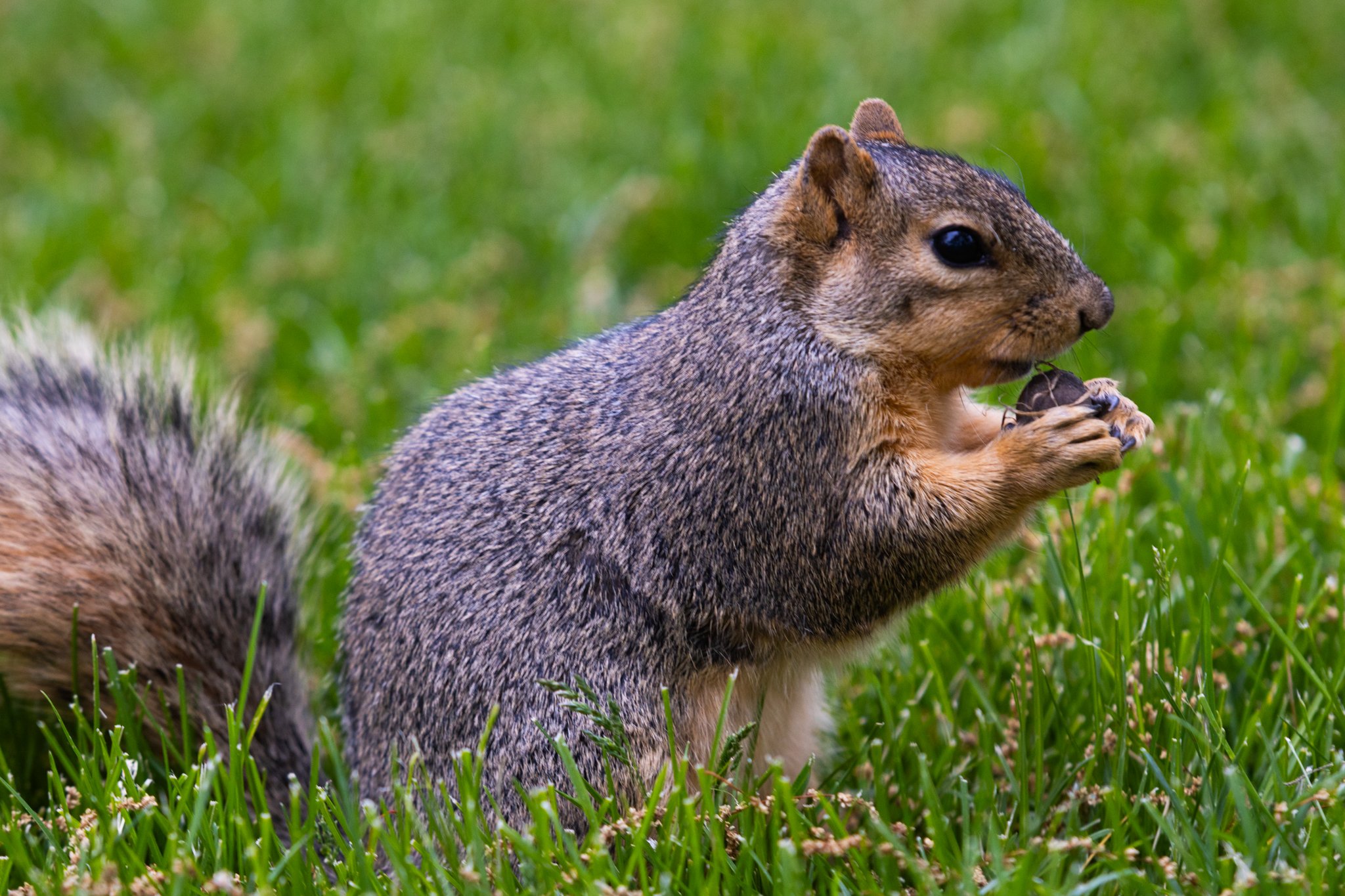 25-05-28 Campus Scenics AMG84.jpg