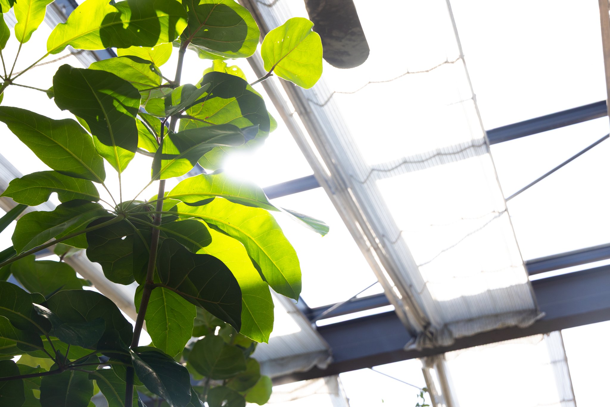 25-04-17 Campus Scenics AMG-24.jpg