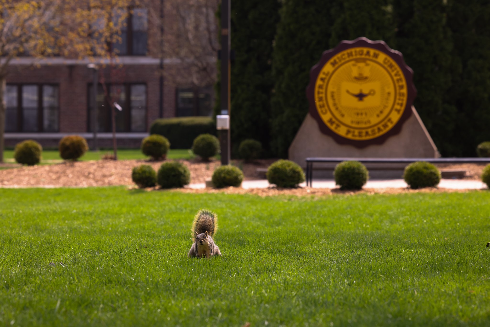 25-04-25 Campus Scienics AMG-04.jpg