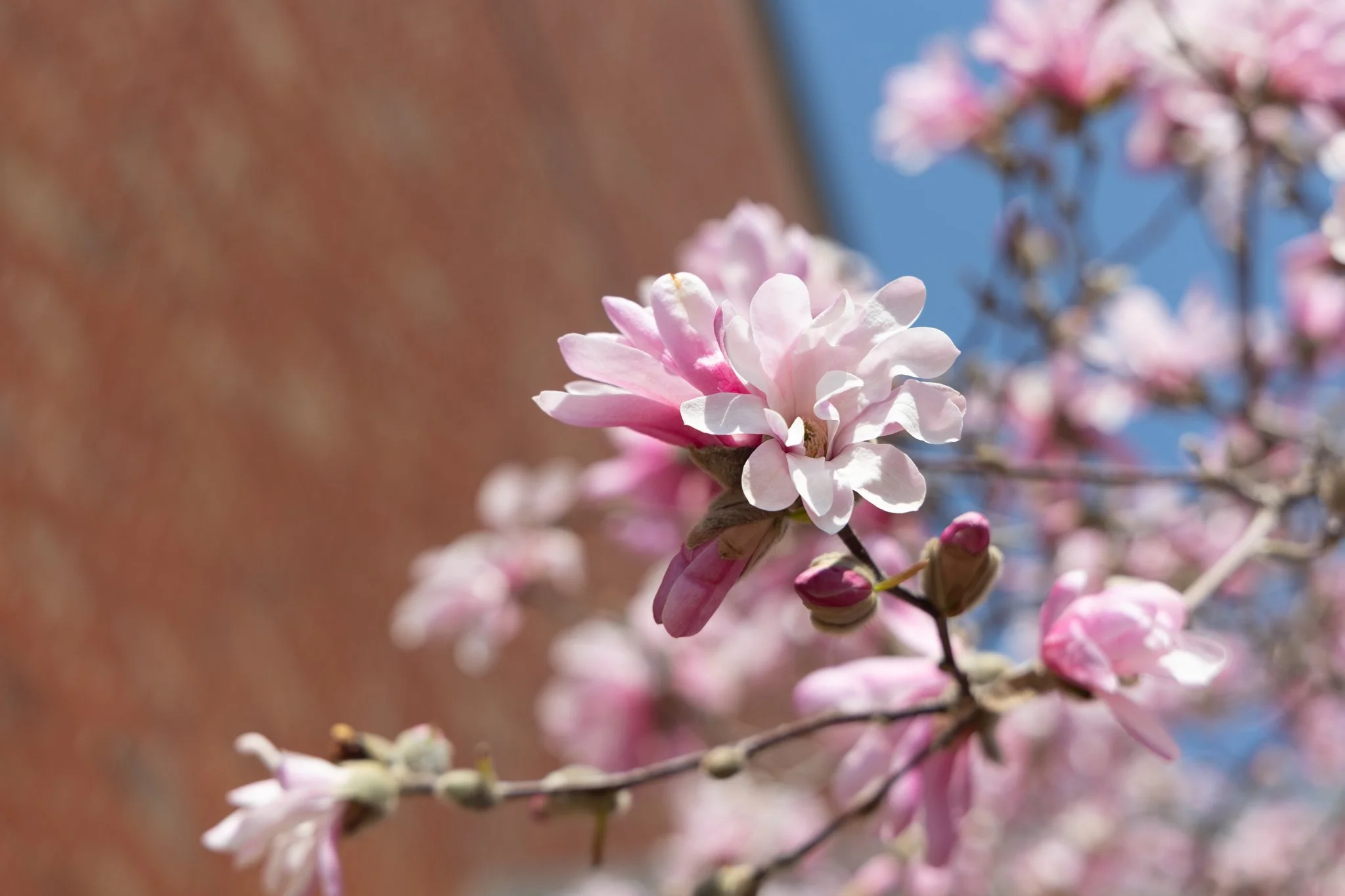 25-04-17 Campus Scenics AMG-55.jpg