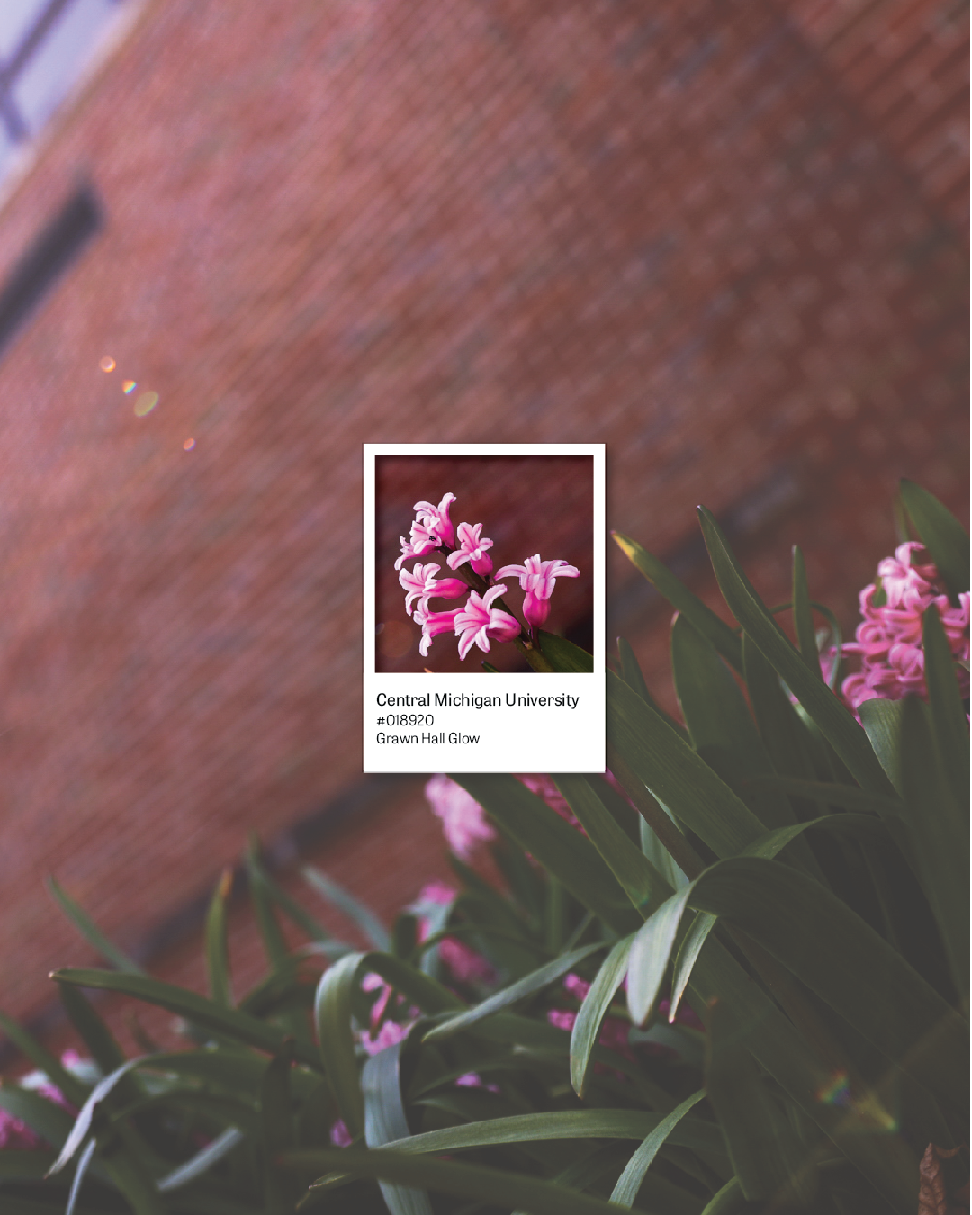 Spring Pantones of CMU 5.png