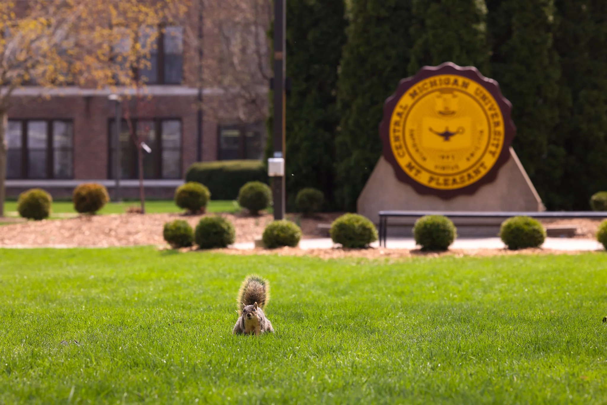 25-04-25 Campus Scienics AMG-05.jpg