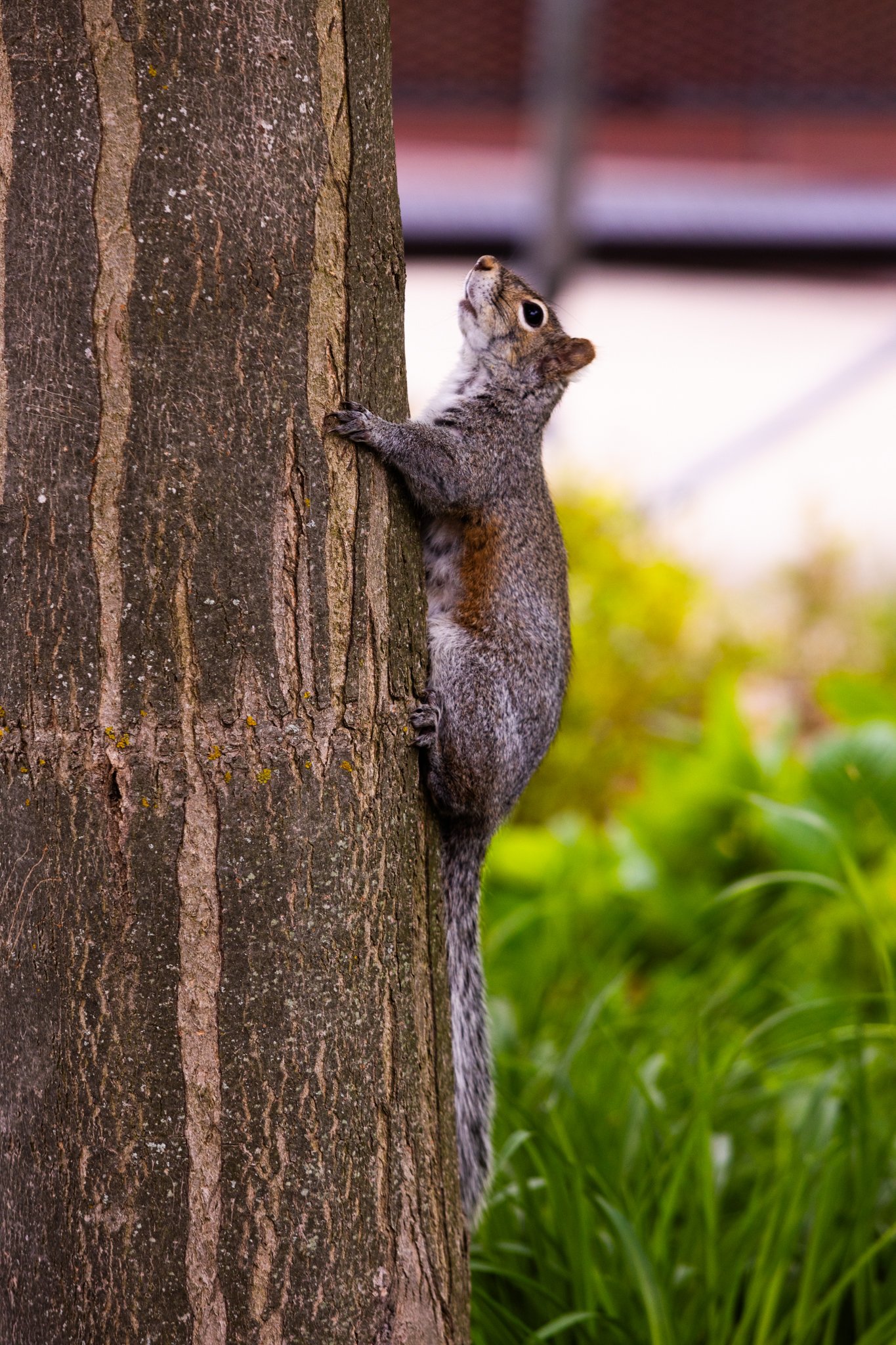 25-05-28 Campus Scenics AMG24.jpg