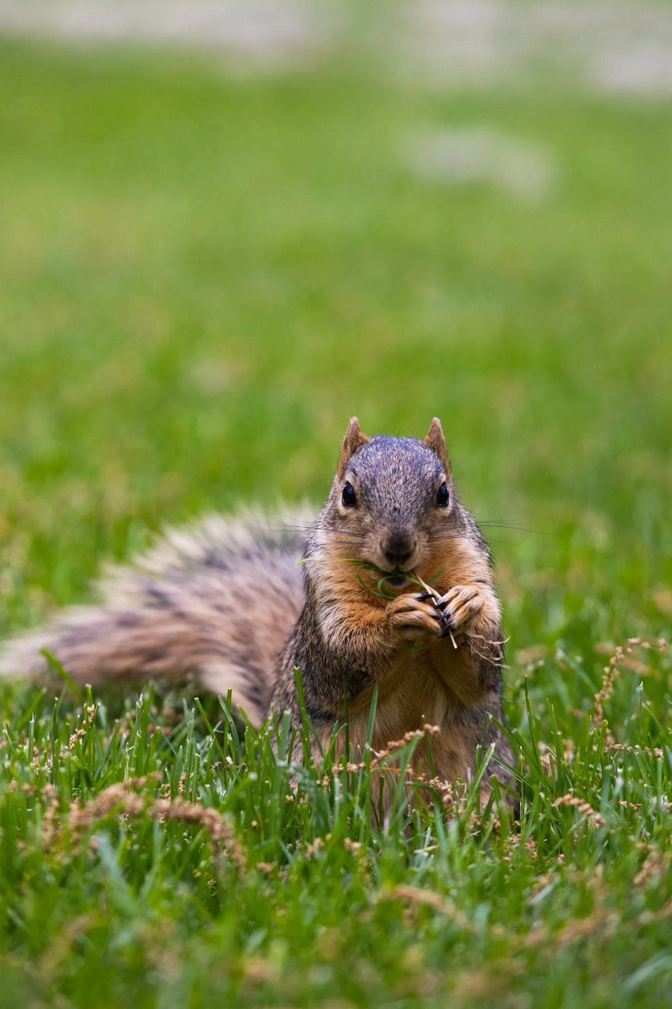 25-05-28 Campus Scenics AMG82.jpg