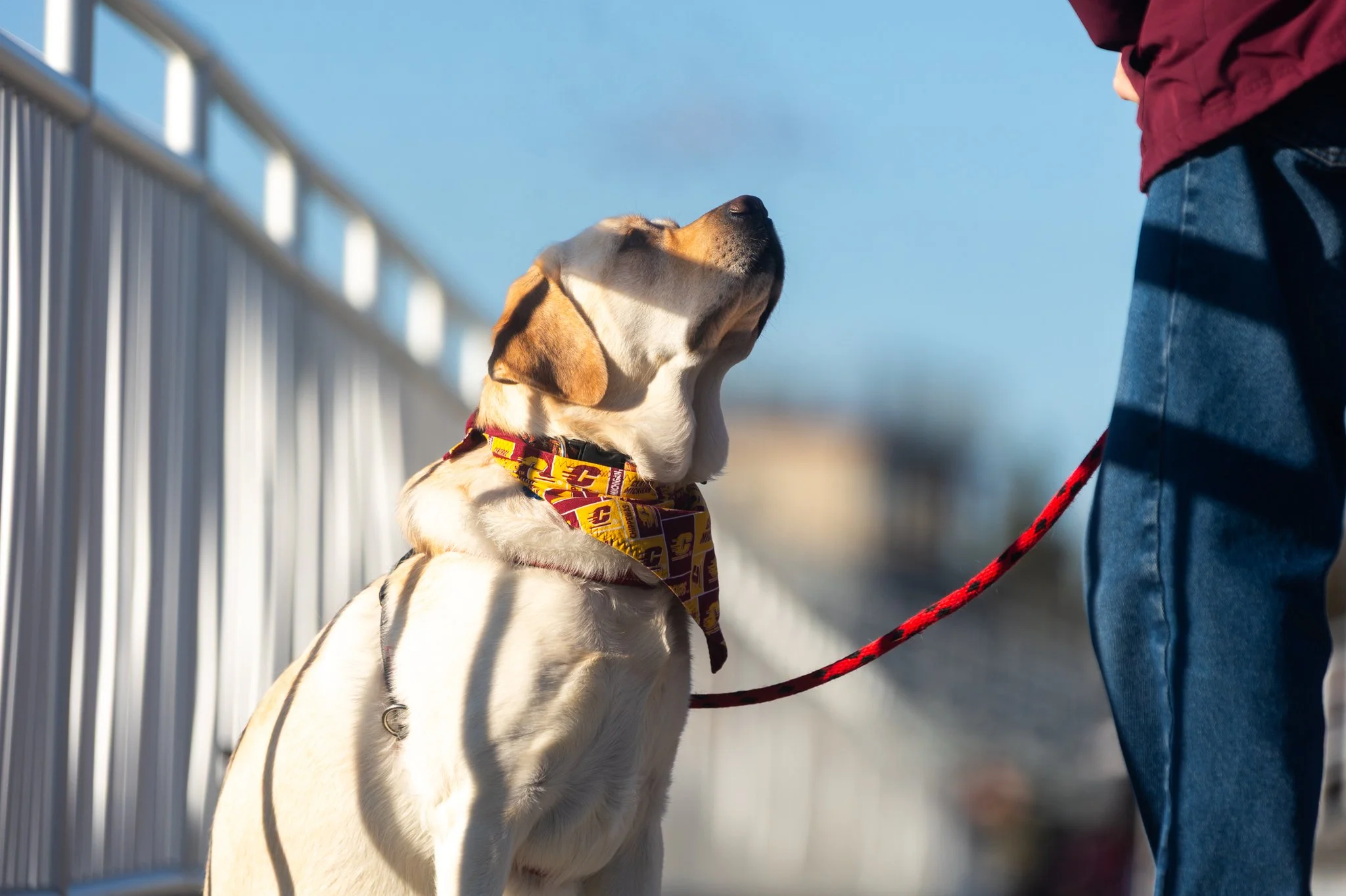 Soccer vs. Eastern AMG-1.jpg