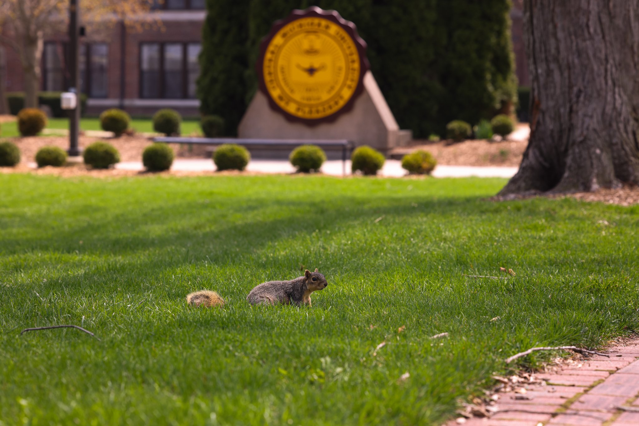 25-04-25 Campus Scienics AMG-62.jpg