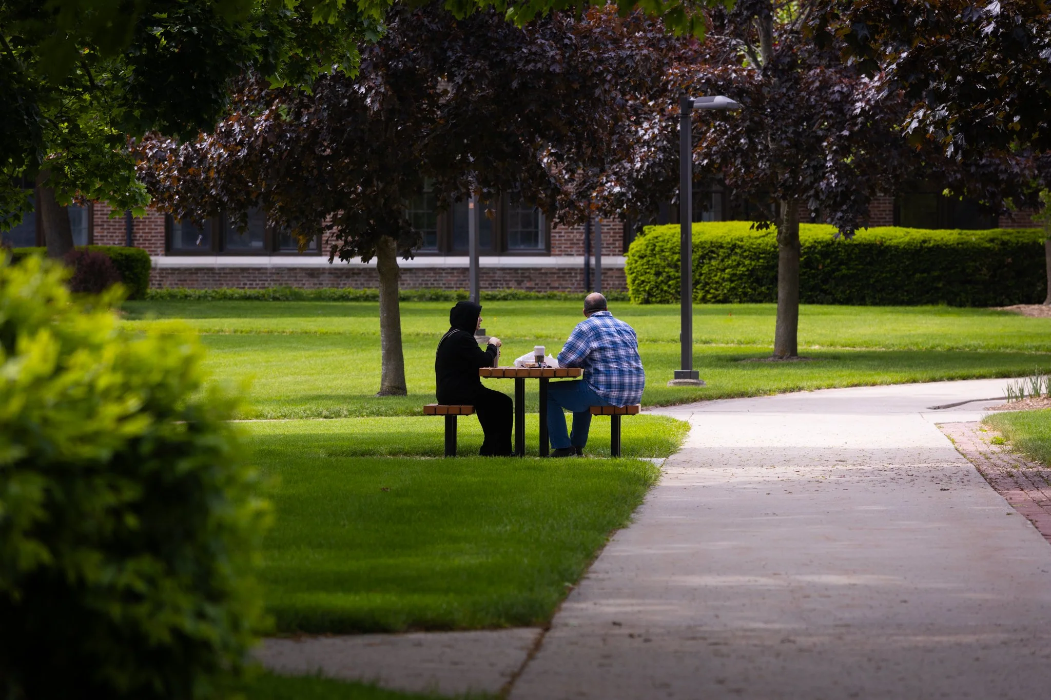 25-05-30 Campus Scenics AMG-01.jpg