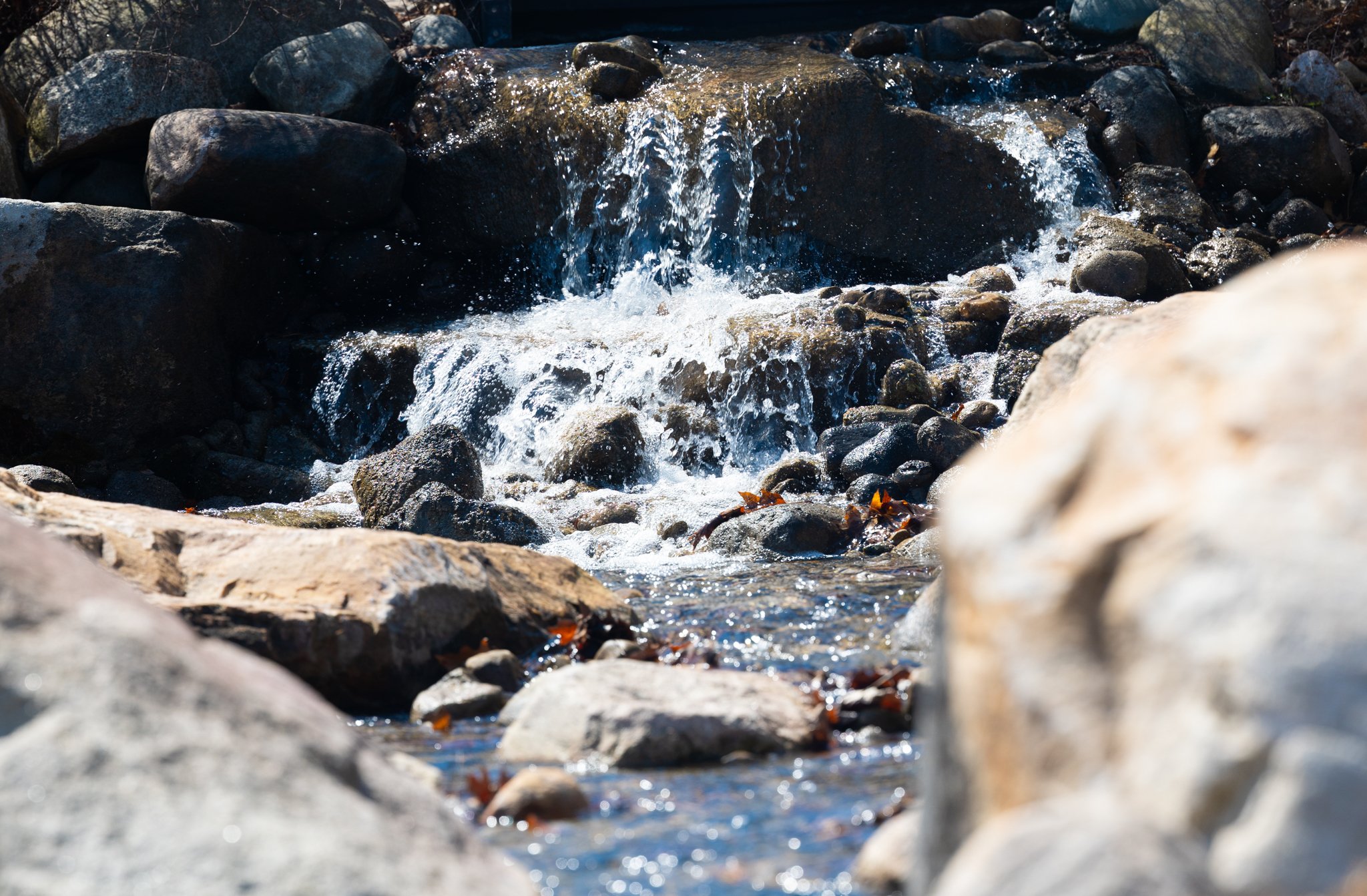 25-04-17 Campus Scenics AMG-56.jpg