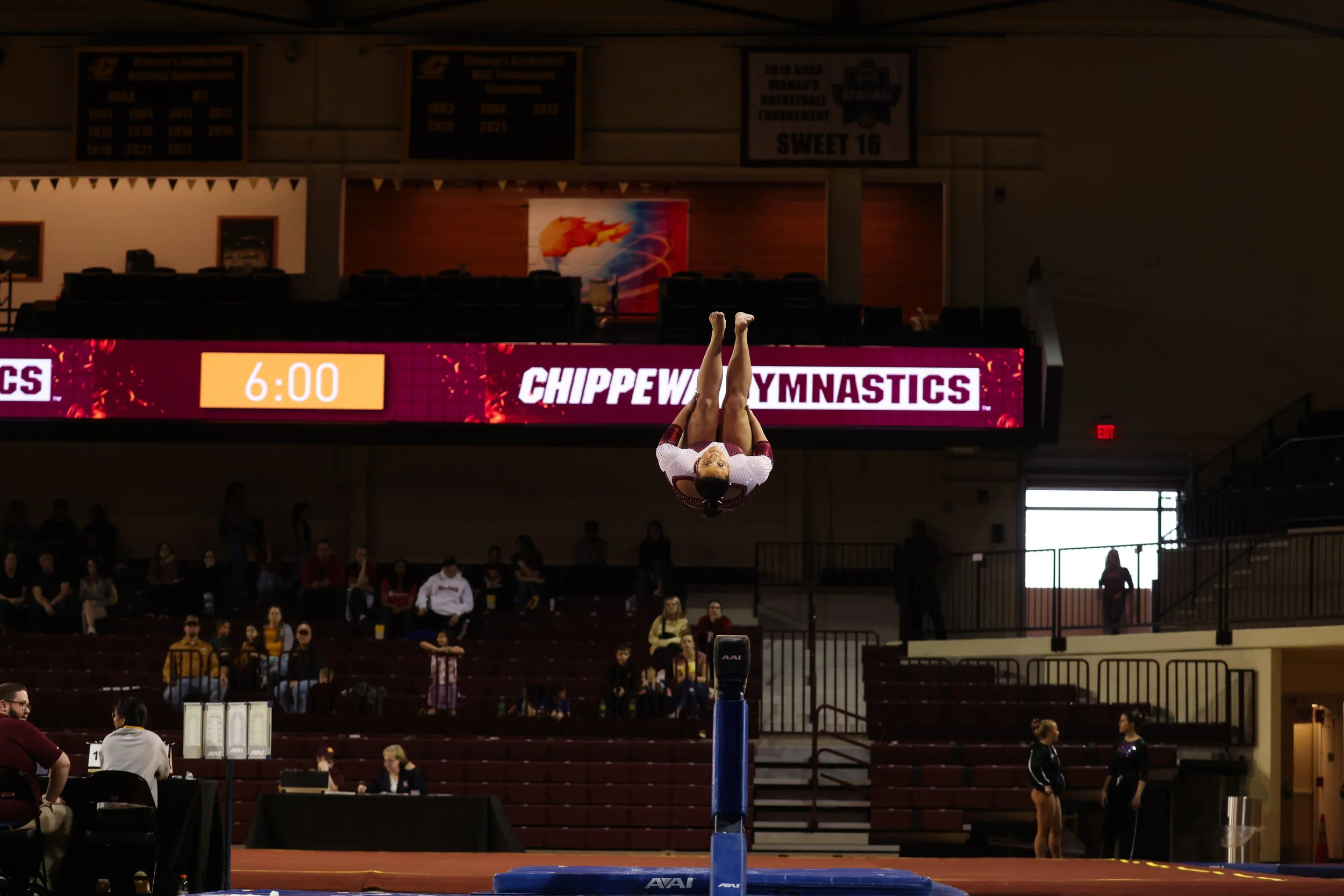 25-03-14 Gymnastics vs. Northern Illinois by Andrea Grifka-118.jpg