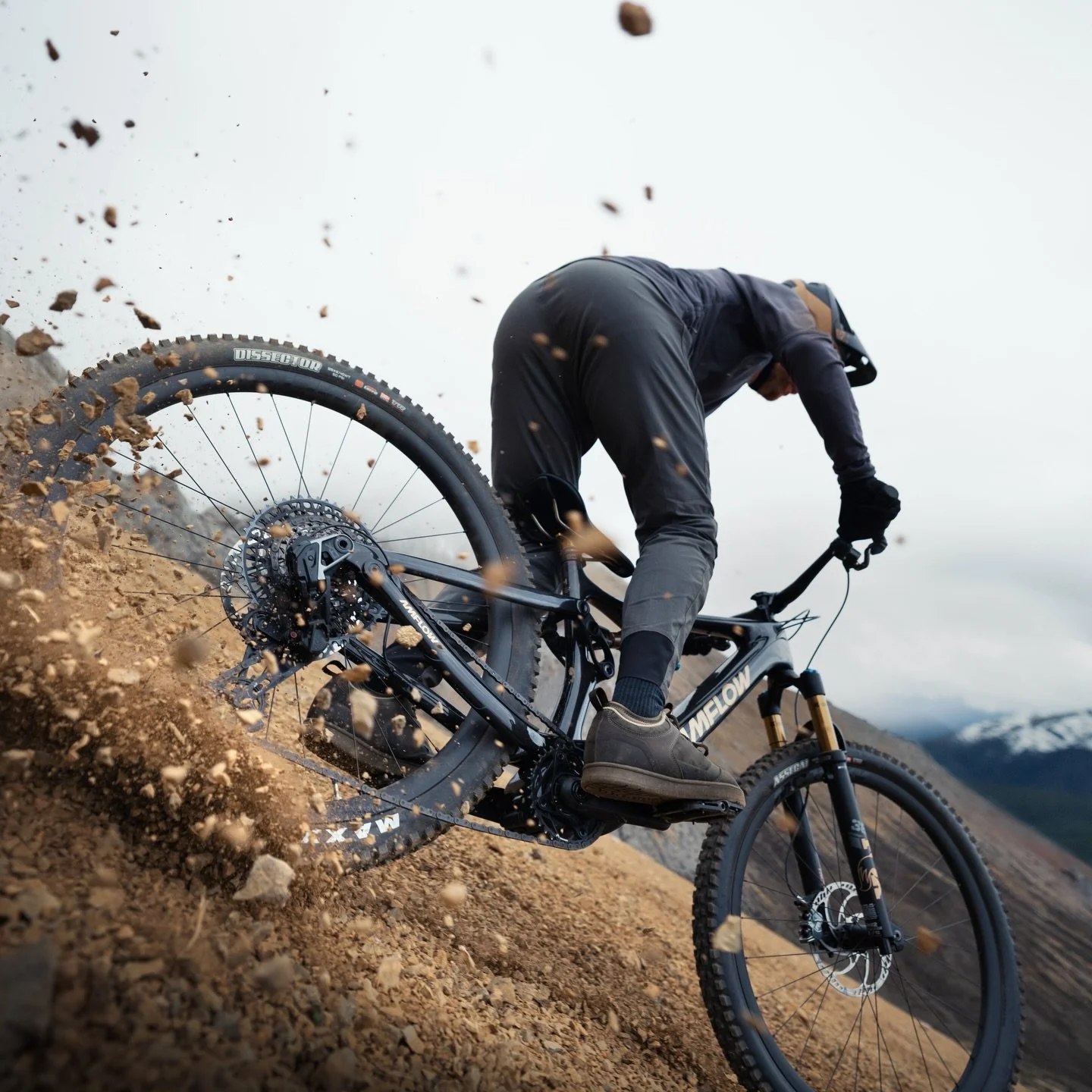 Now through March 3rd, save up to 20% on select @amflowbikes models! 🤑

We have &lsquo;em in stock and available to order &mdash; don&rsquo;t wait to get your hands on this super light, full-power rocket ship 🚀

Shop AMFLOW at the link in our bio! 