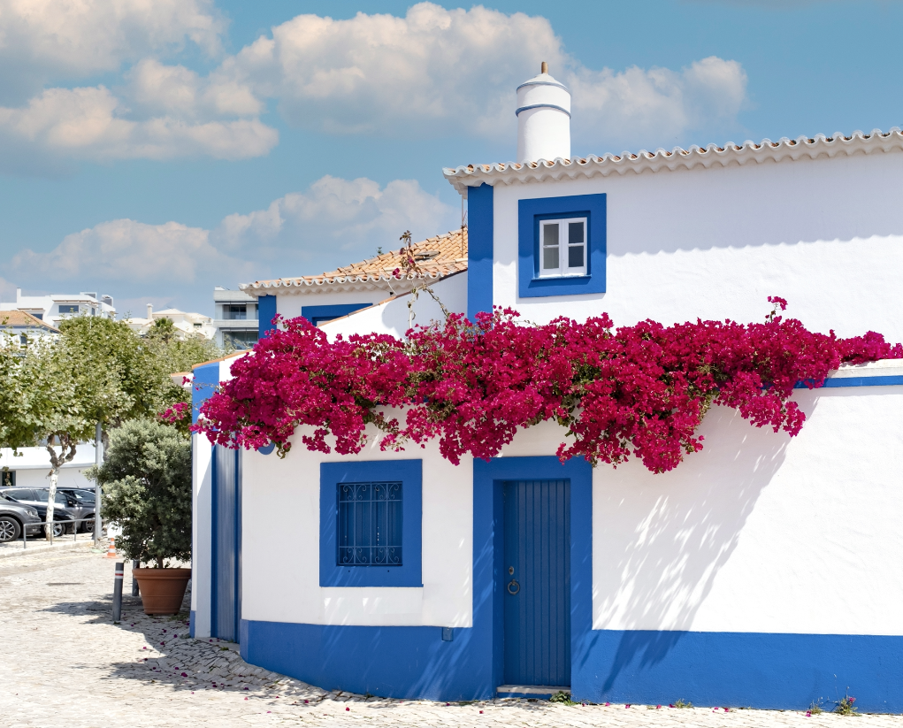 Screenshot 2026-02-05 at 19.28.47.png