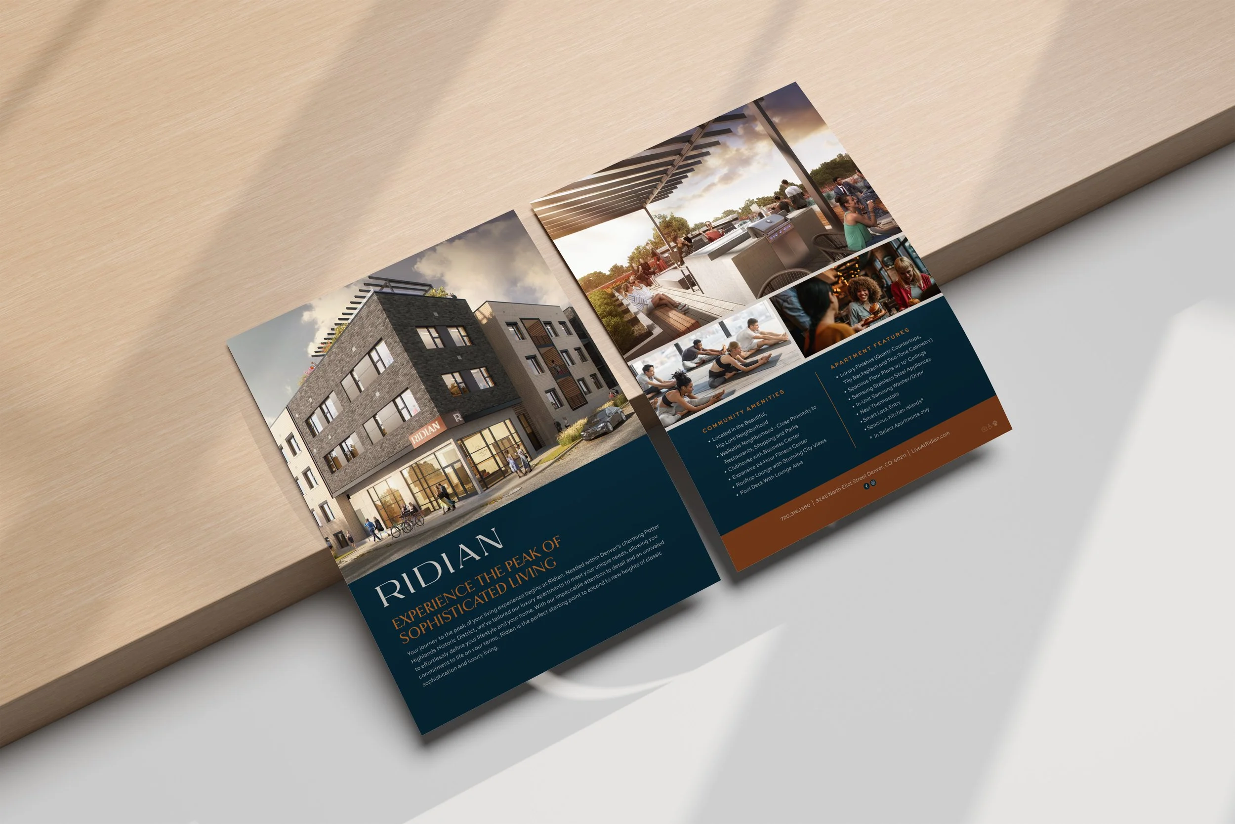 Ridian_One Pager_Flyer Mockup.jpg