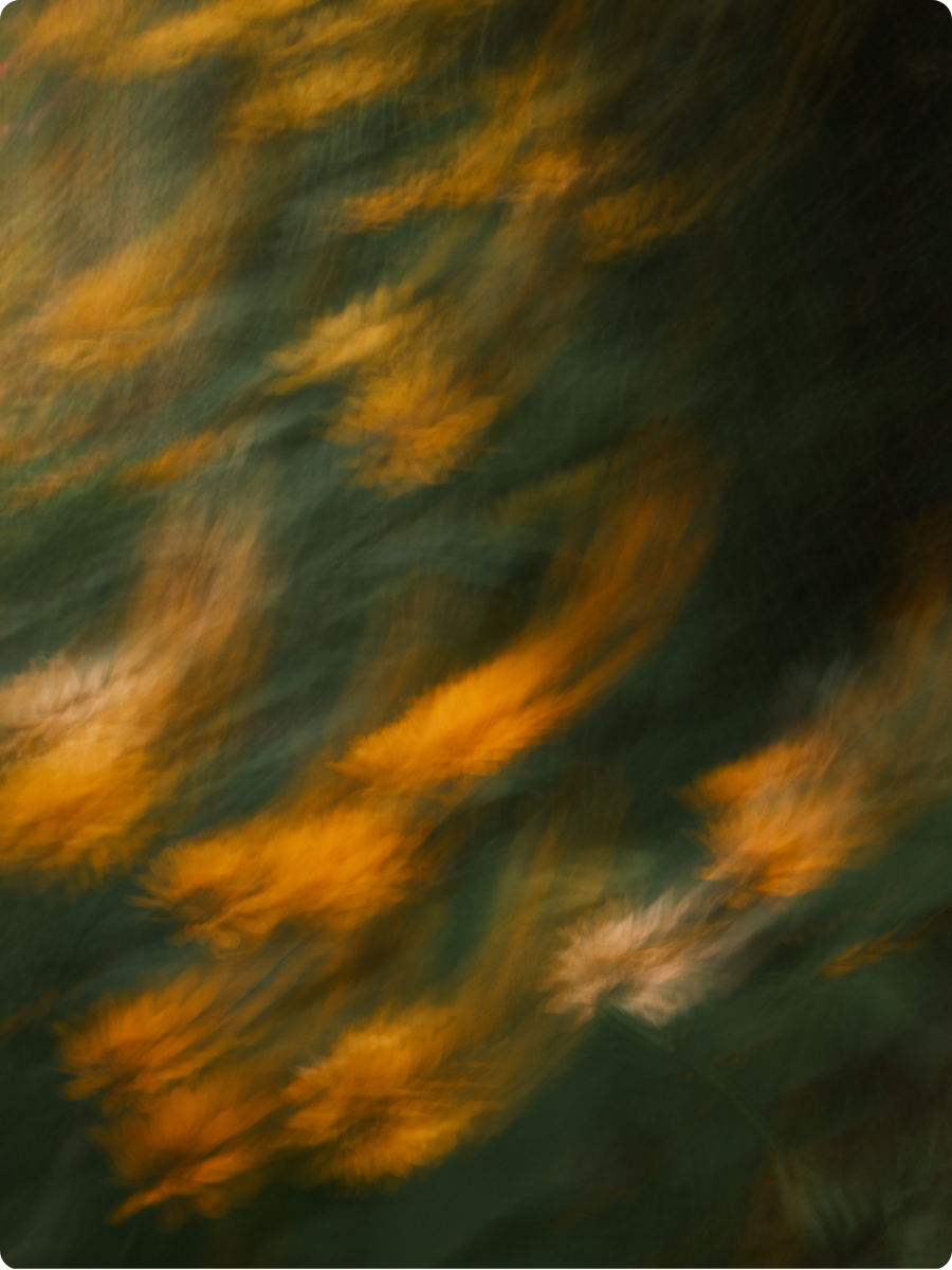 Reiki Level 1: Discover the Healing Power Within