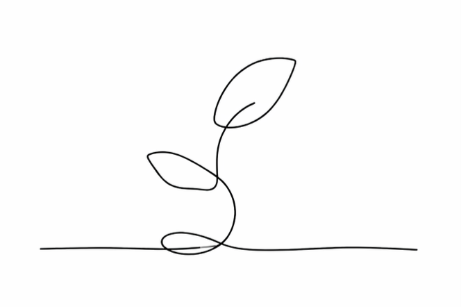 A simple black line drawing of a growing plant with leaves