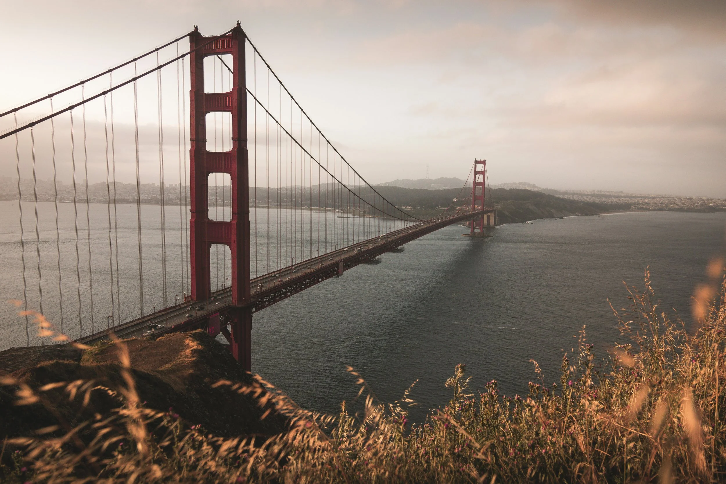 Contact Psychiatrist In California