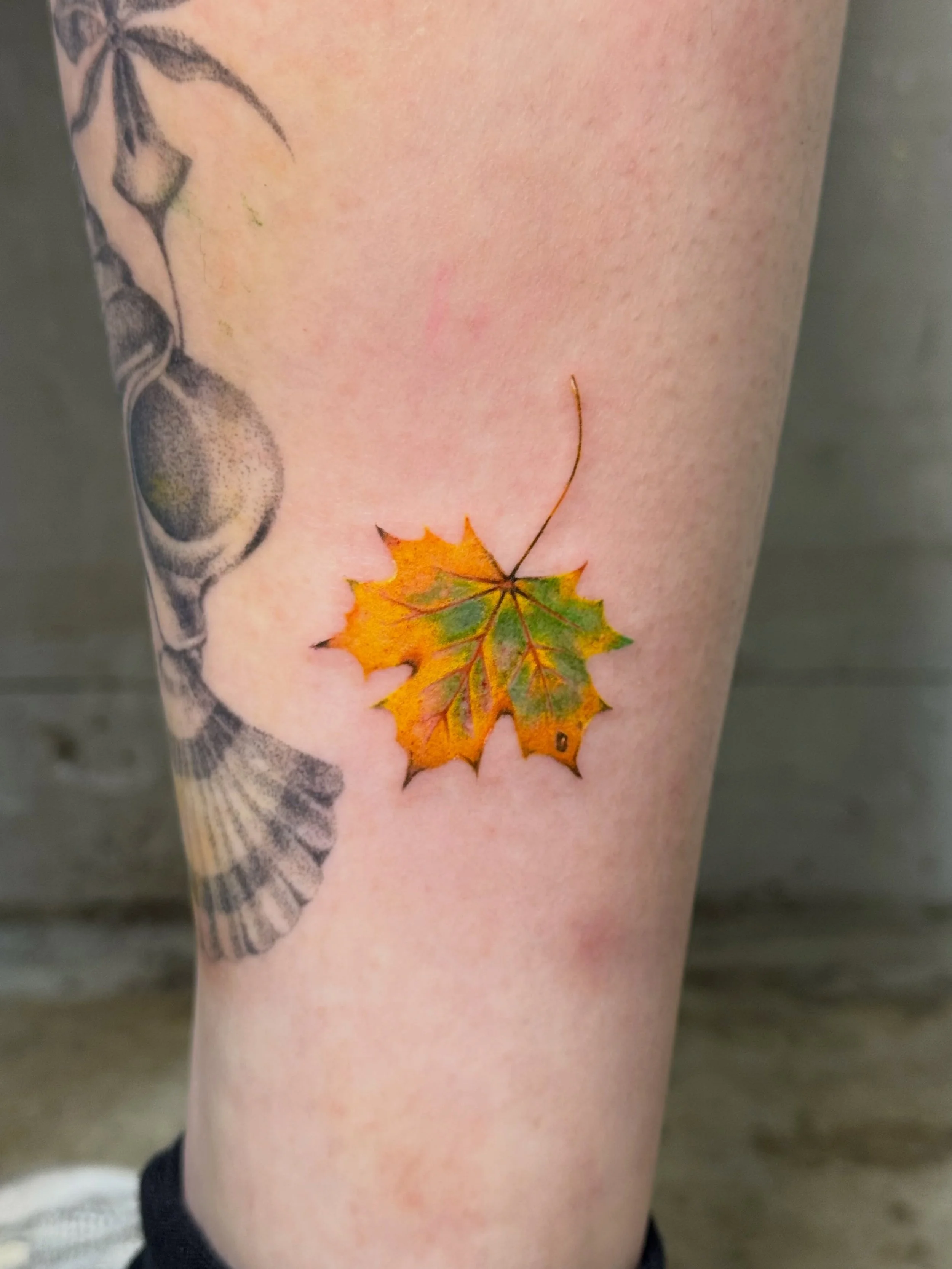 紅葉 
⁡
 #紅葉  #タトゥー #tattoo