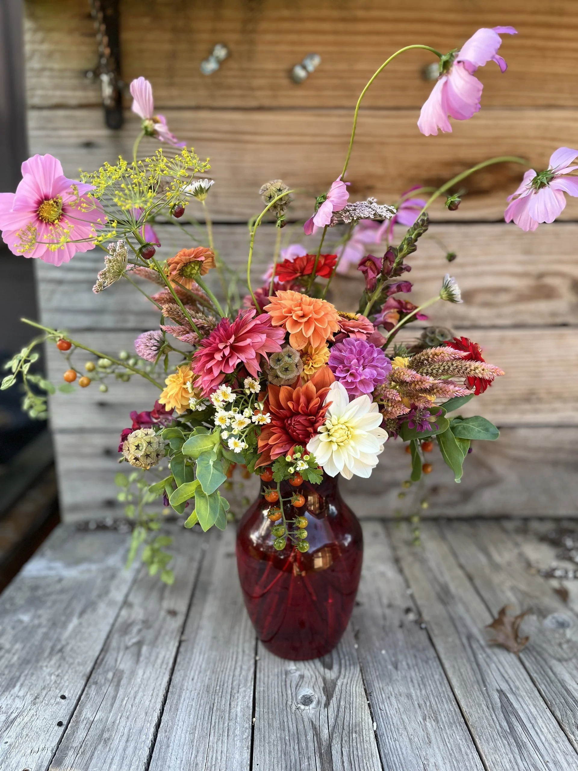 Floral Club : Corporate Designer's Choice- Monthly