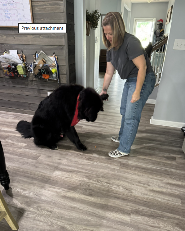 A woman in a gray t-shirt and jeans playing with a large black dog in a home interior with wooden flooring and a stairway in the background.