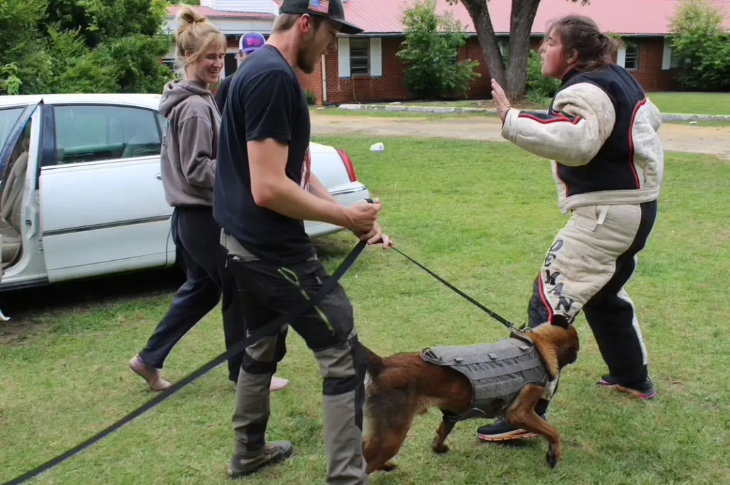 A young woman and a young man are smiling while walking a dog on a leash, with another young woman facing them, raising her hand in a stop gesture, on a grassy area near a car and a brick house.