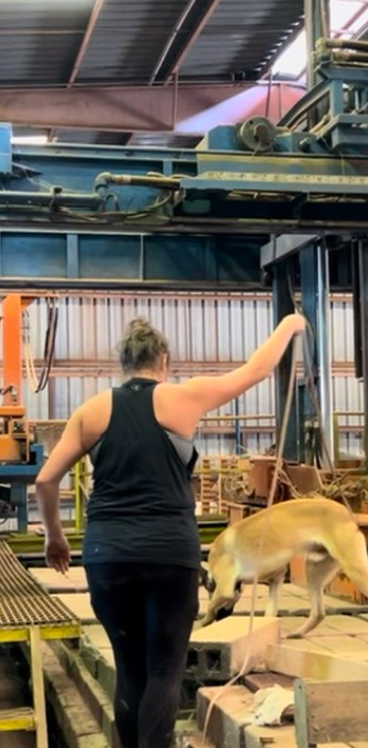 A woman in a black sleeveless shirt walking in an industrial warehouse with a yellow dog on her right side, with machinery and metal structures overhead.