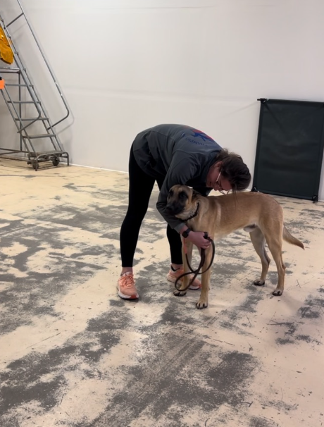 A woman bending over to pet a large tan and black dog inside a warehouse or garage with concrete floor and minimal background items.