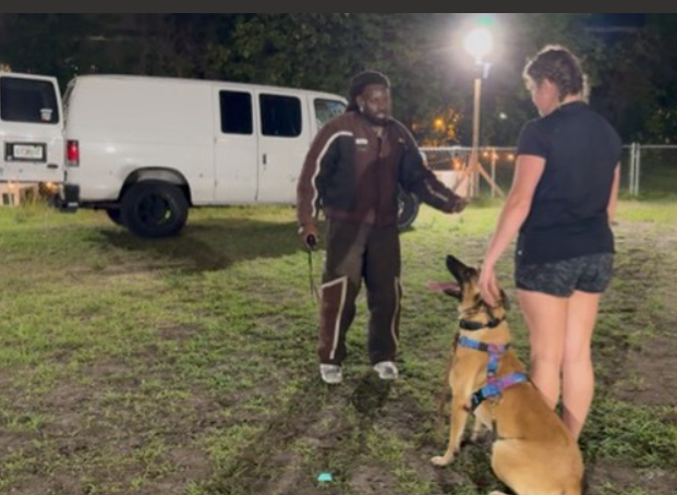 A woman in black shorts and a black shirt training a German Shepherd dog with a harness, guided by an instructor in a brown jacket outdoors at night with a white van and a light pole in the background.