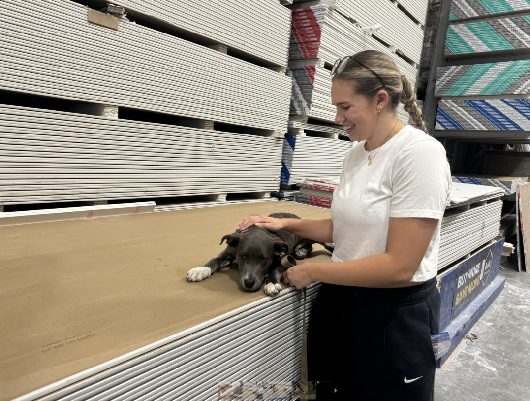 A woman in a white t-shirt and black Nike shorts is smiling and petting a black and white puppy lying on a retail store's flattened cardboard display table. The background shows stacked store displays and shelves.